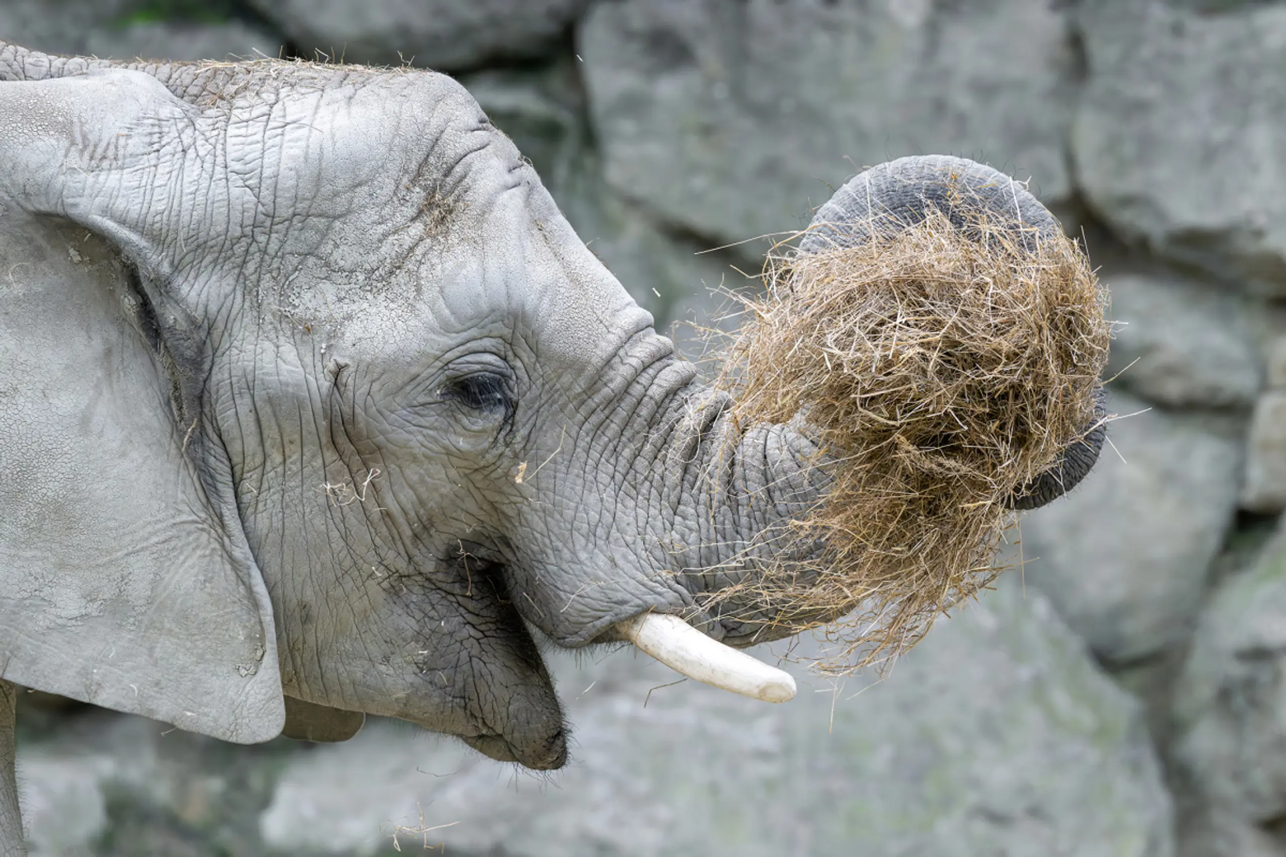 Ein Präzisionswerkzeug