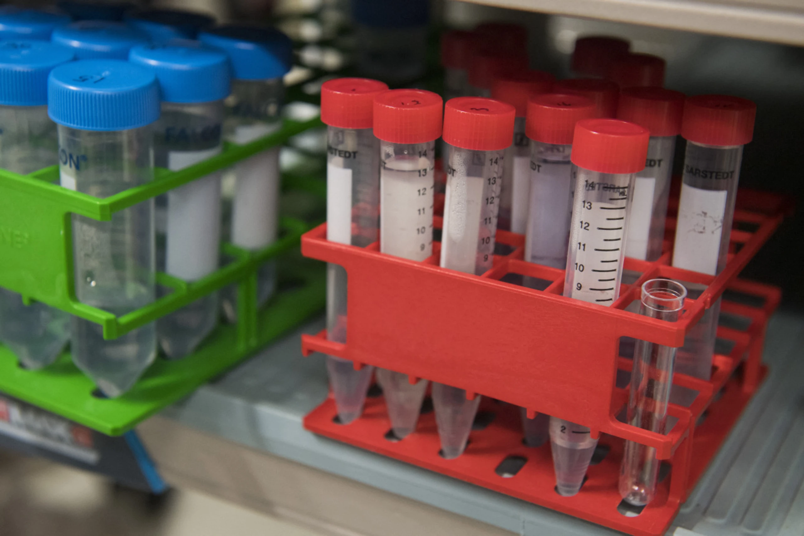 Viraler Sabotage auf der Spur