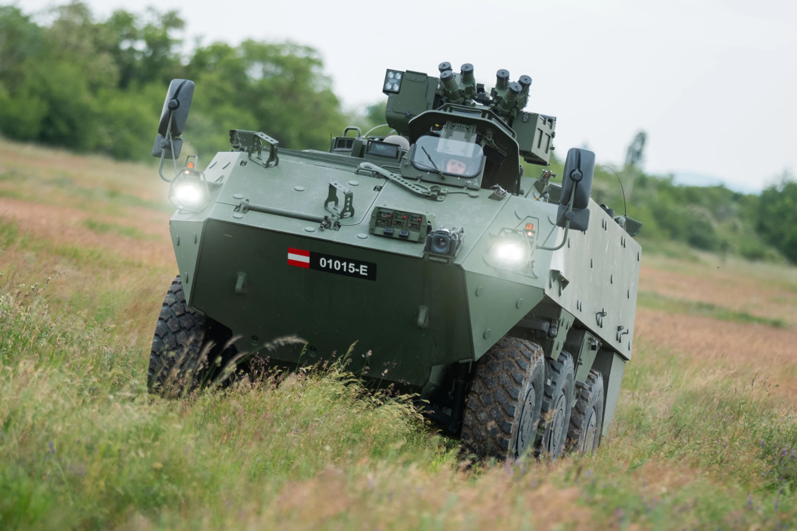 Österreich soll mehr ins Bundesheer investieren