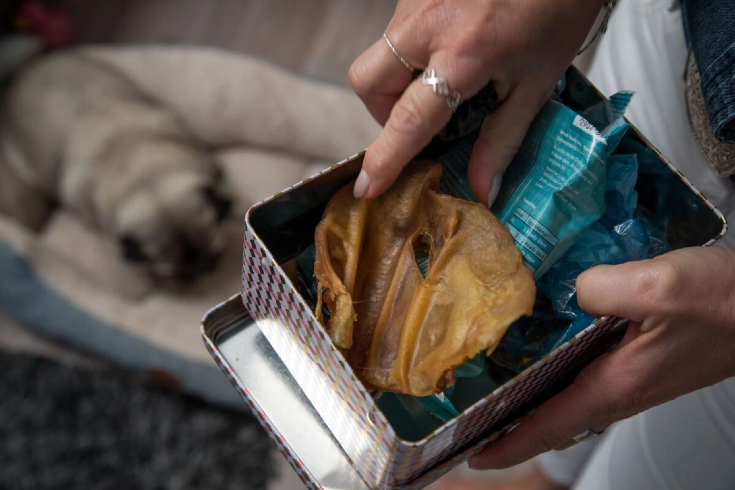 Nach dem Anfassen von Hundesnacks ist gründliches Händewaschen wichtig