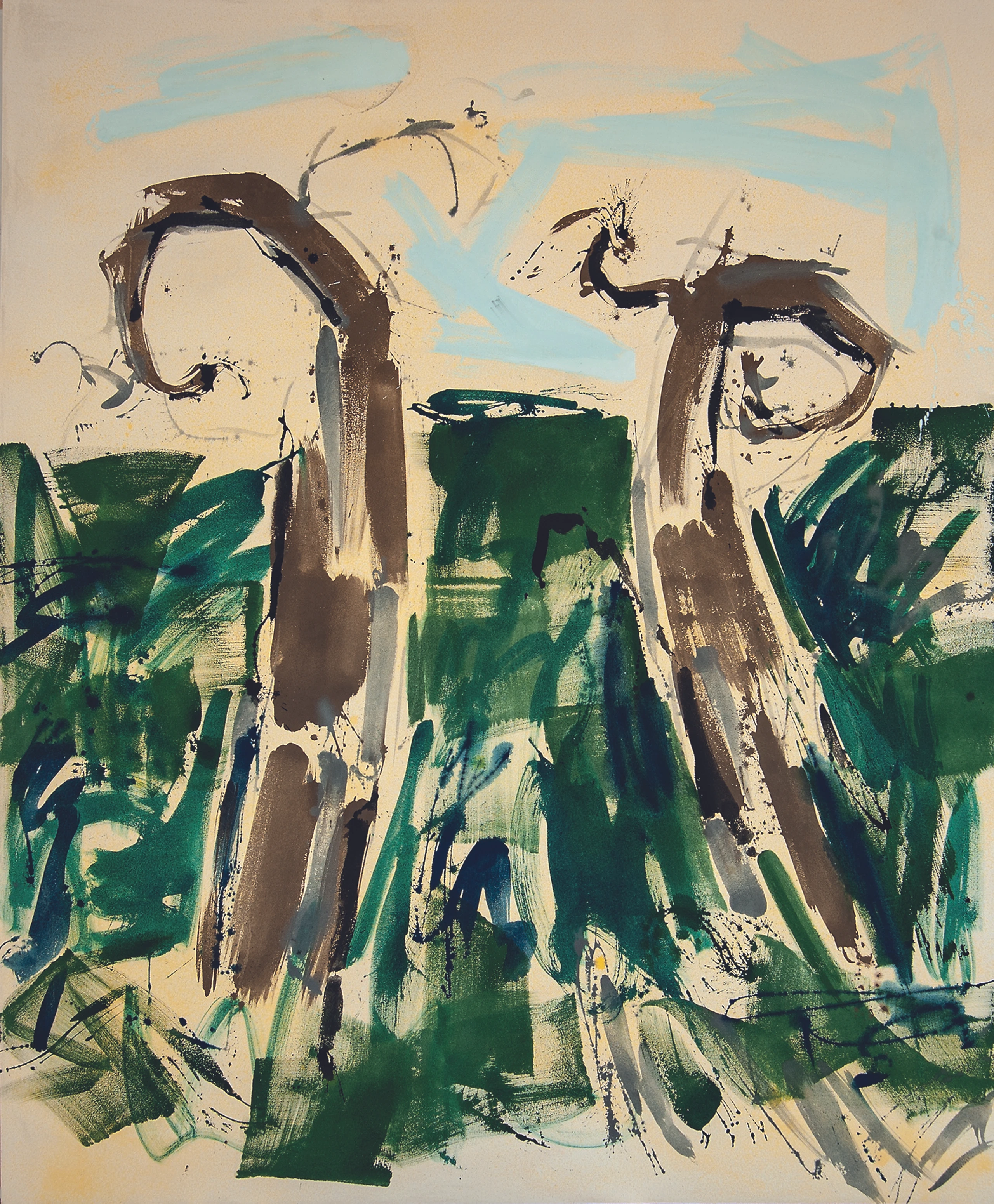 Blurred image background