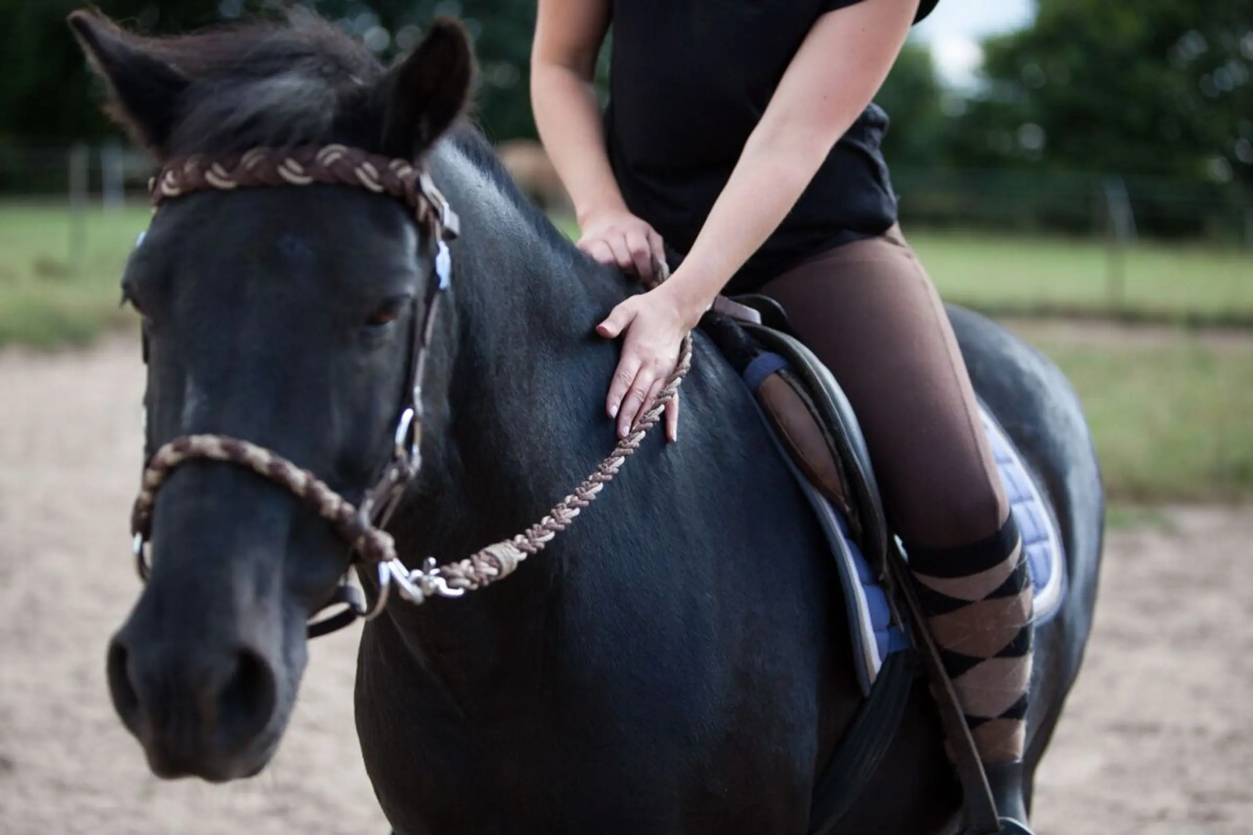Auch Pferde können zur Therapie von psychischen Krankheiten gehören