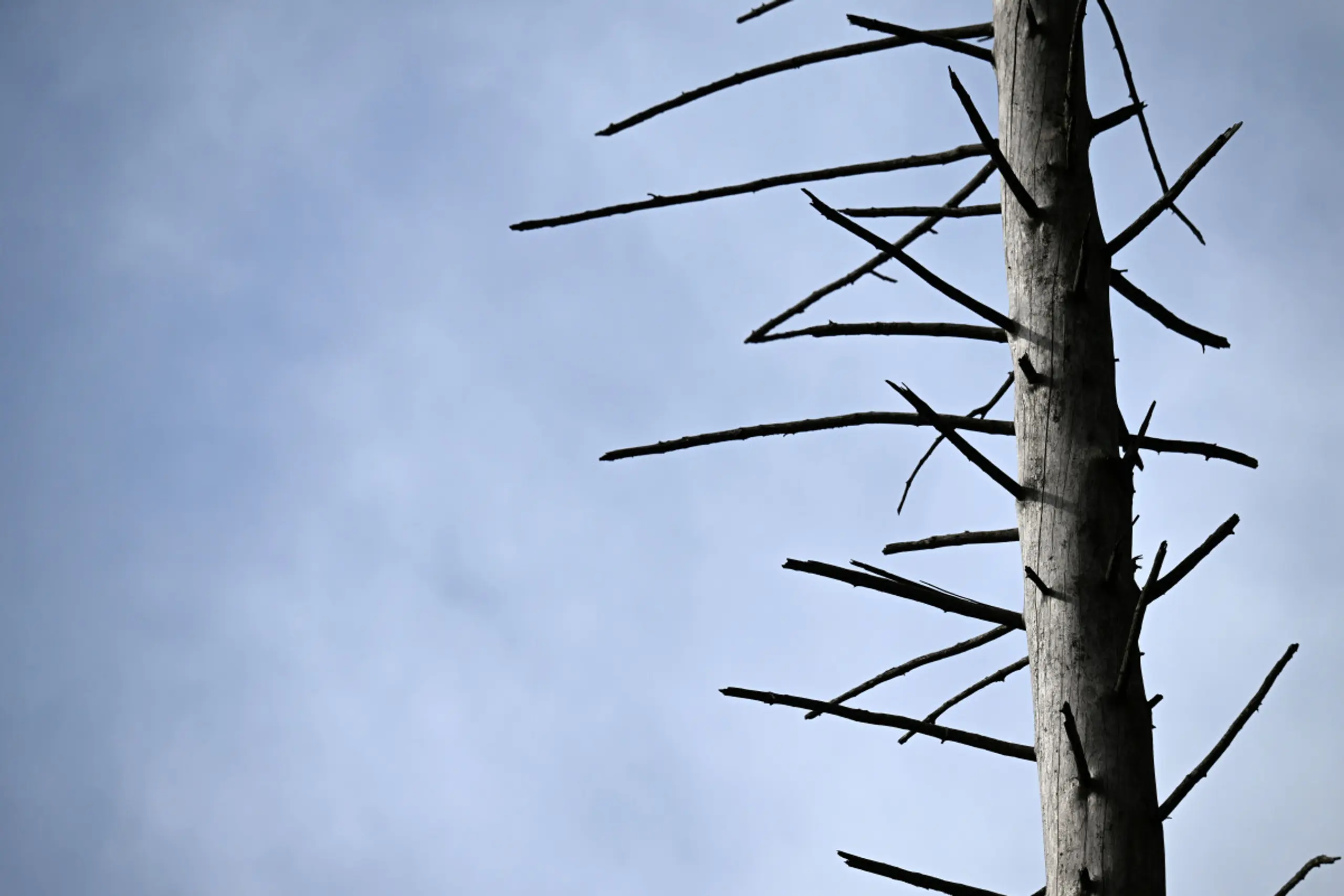 Europa erwärmt sich laut Experten doppelt so schnell wie der globale Durchschnitt