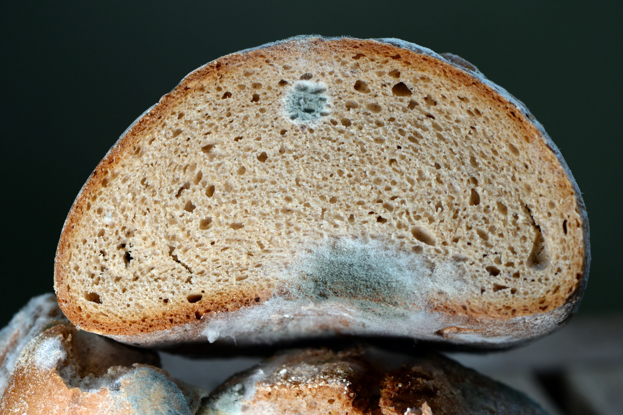 Bei schimmeligem Brot gilt: Lieber weg damit