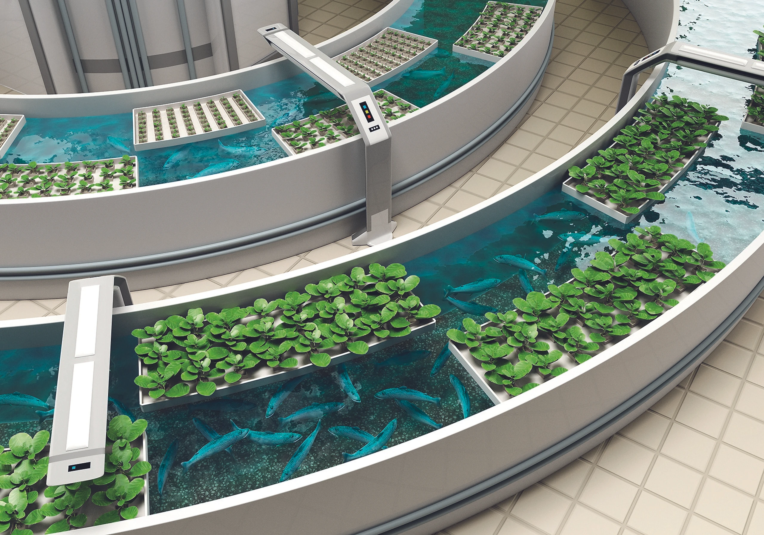 Blurred image background