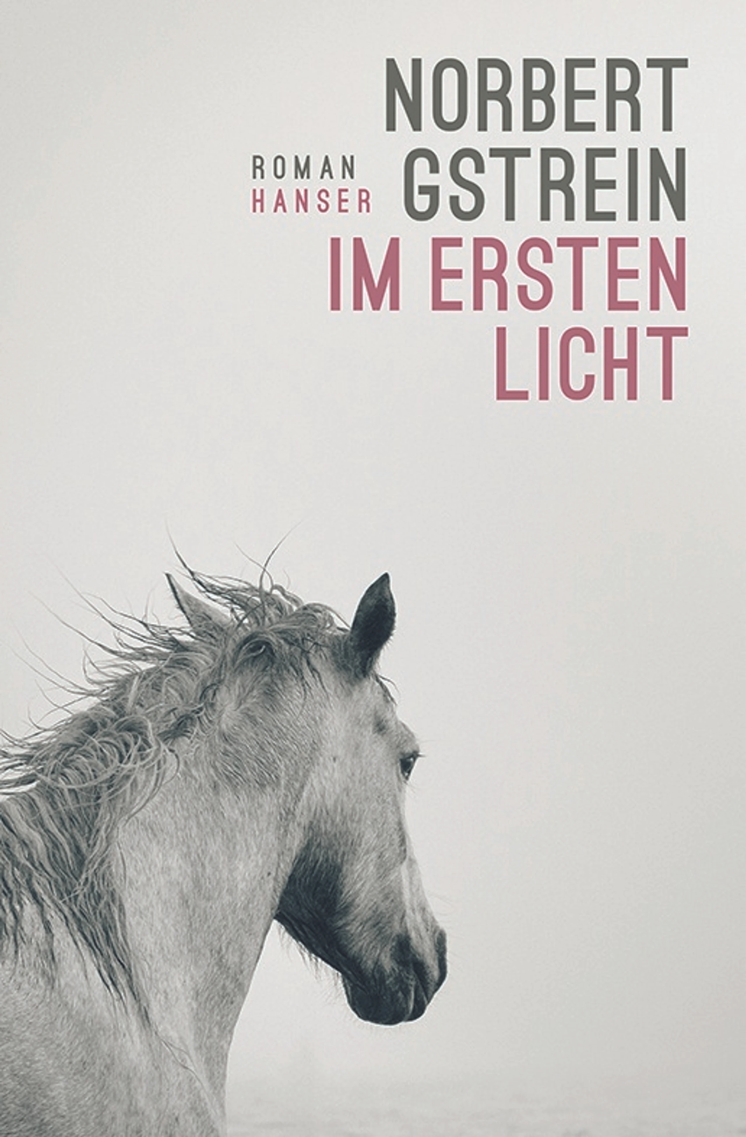 © Hanser Blurred image background