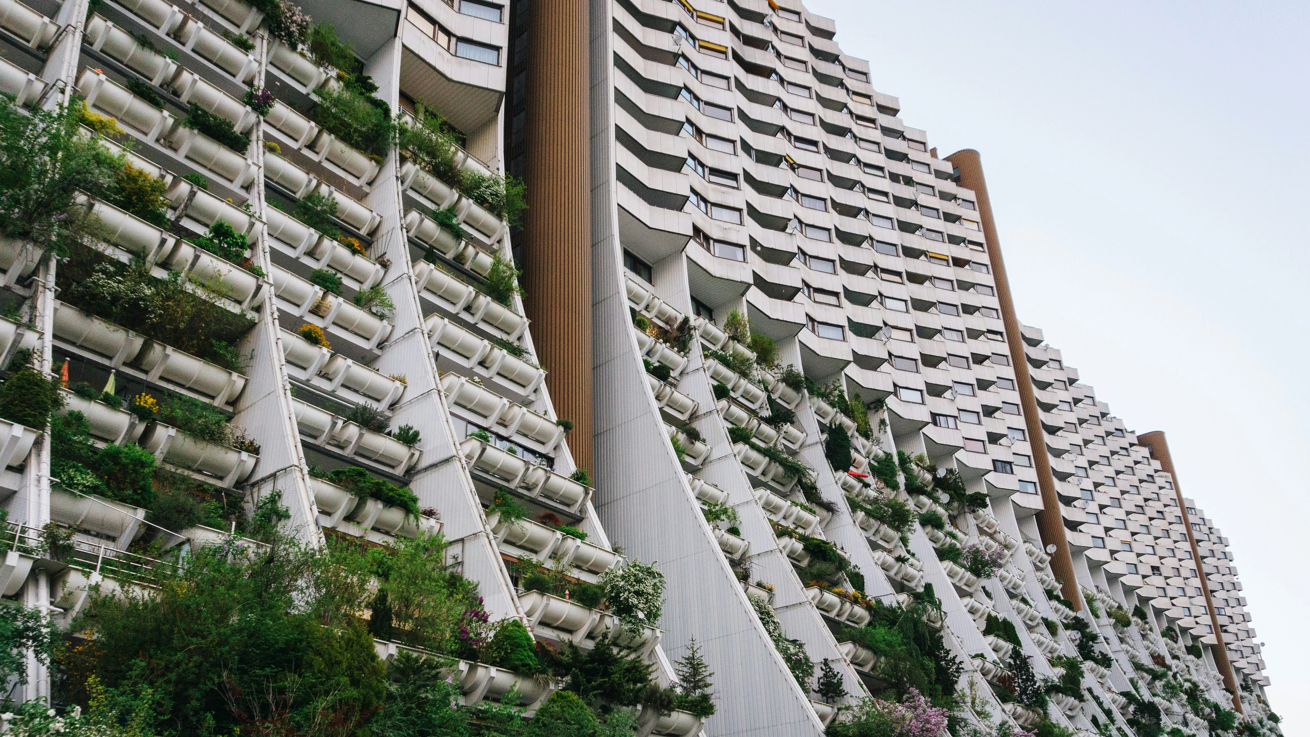 Wohnungsbau in Wien auf Tiefststand: Warnung vor wachsendem Wohnungsmangel