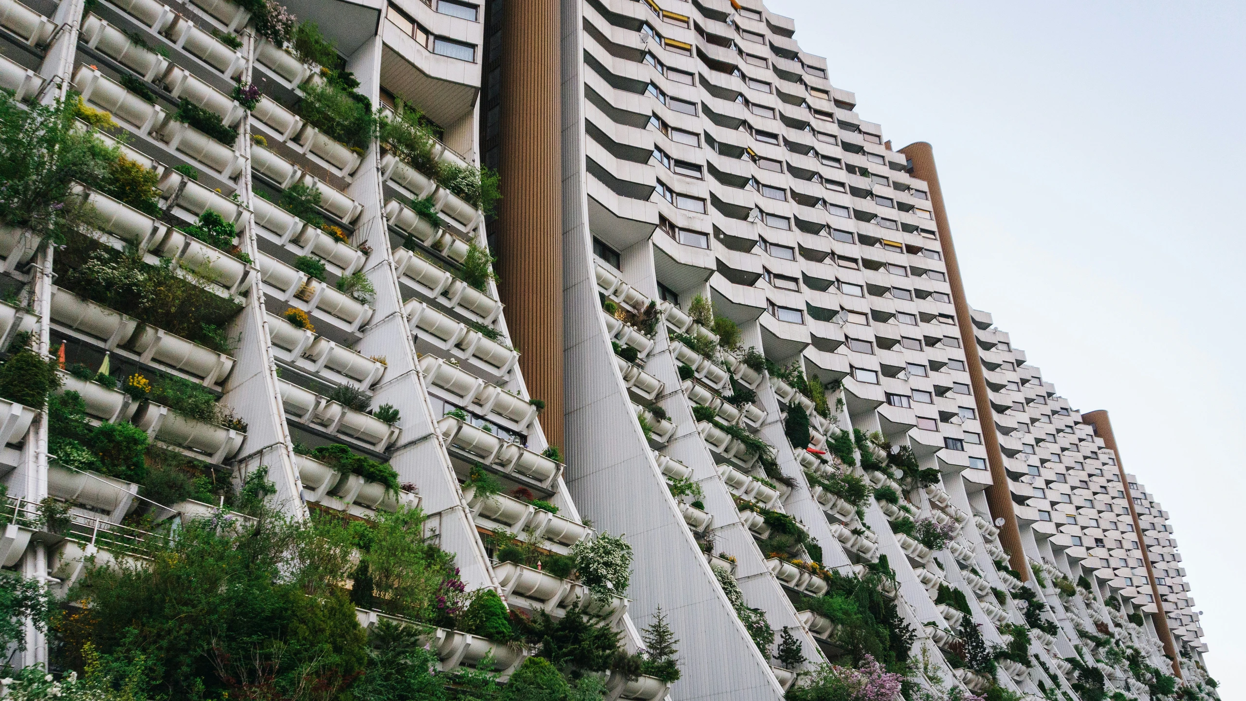Wohnungsbau in Wien auf Tiefststand: Warnung vor wachsendem Wohnungsmangel