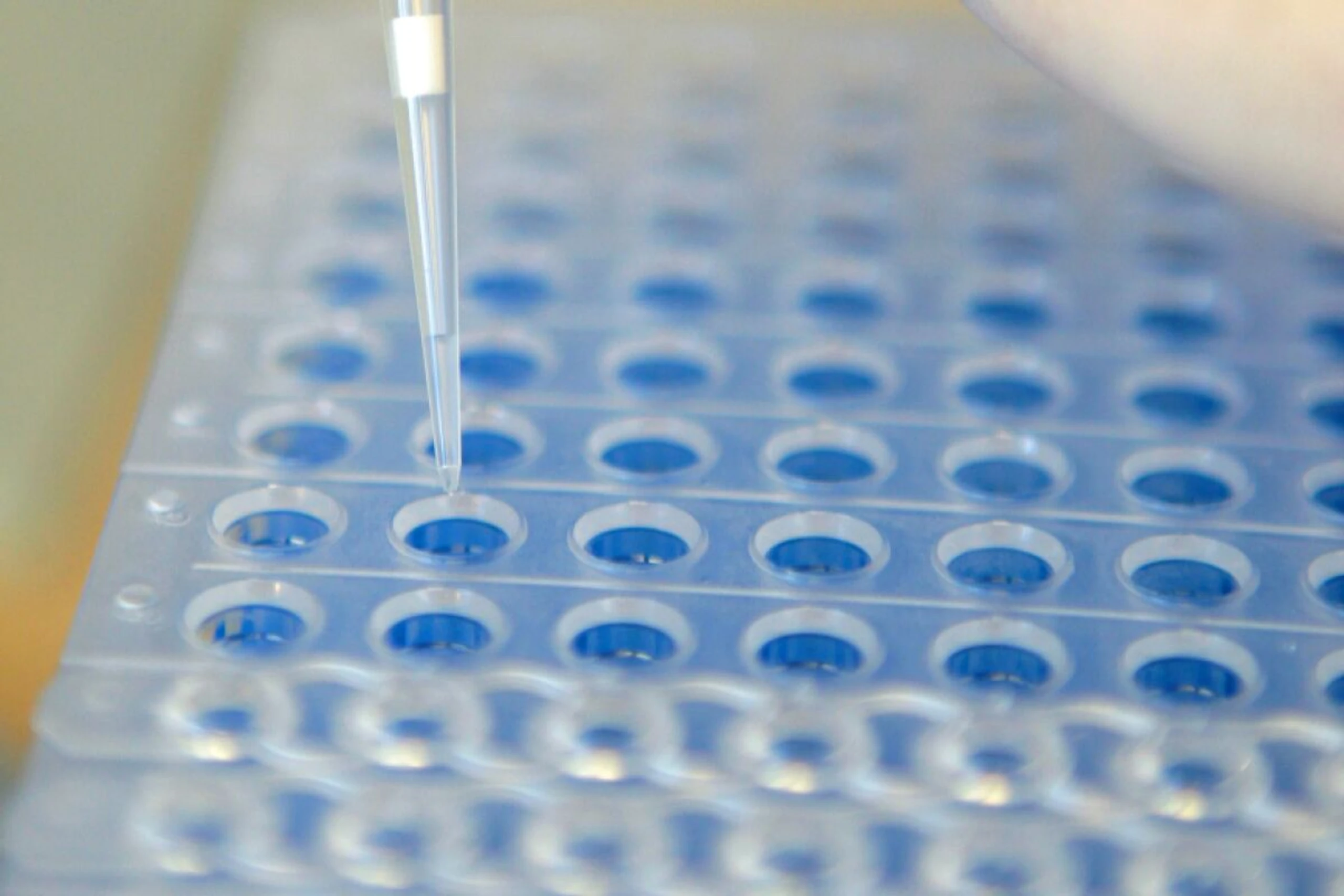 Nasenspray soll Immunsystem anregen