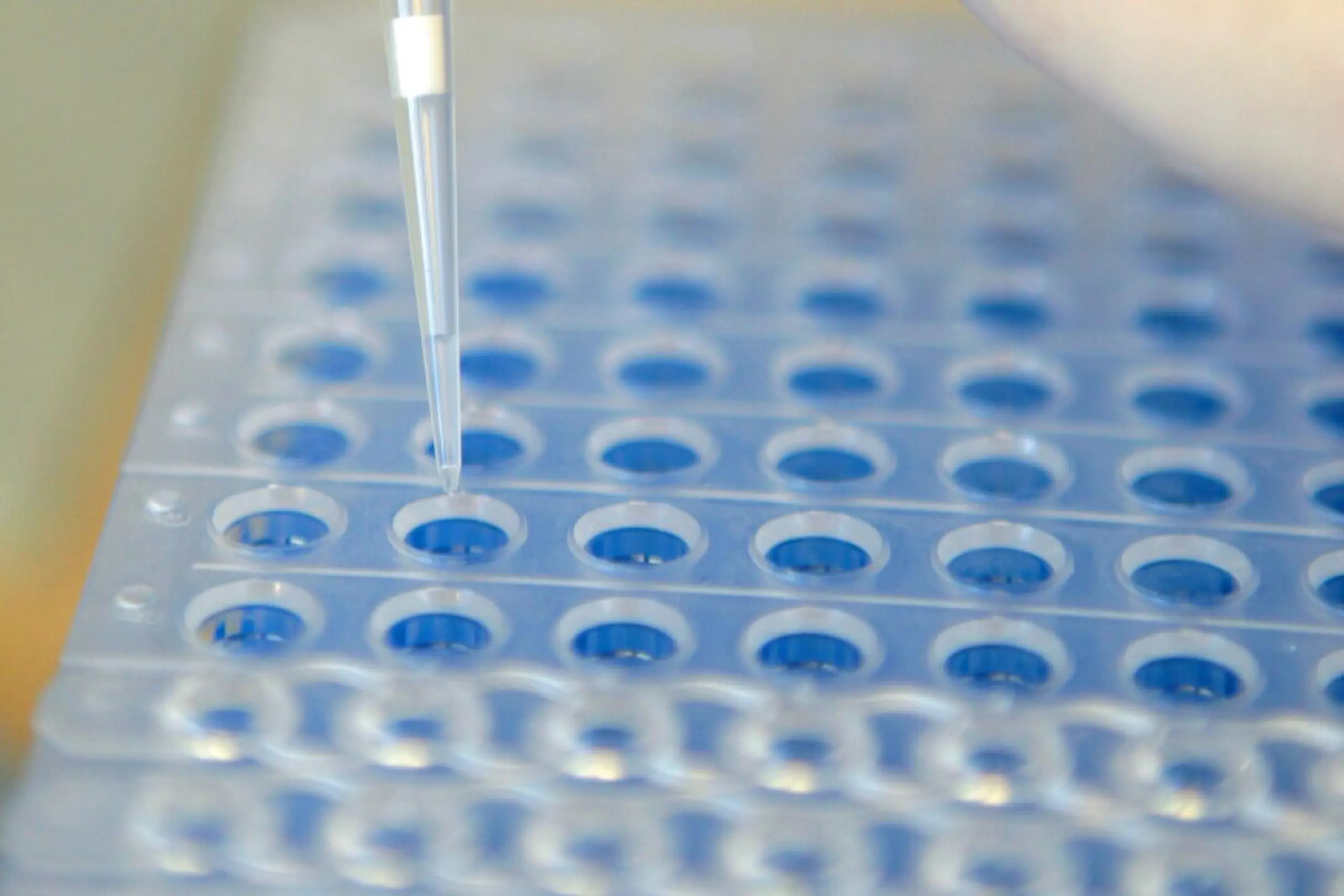 Nasenspray soll Immunsystem anregen