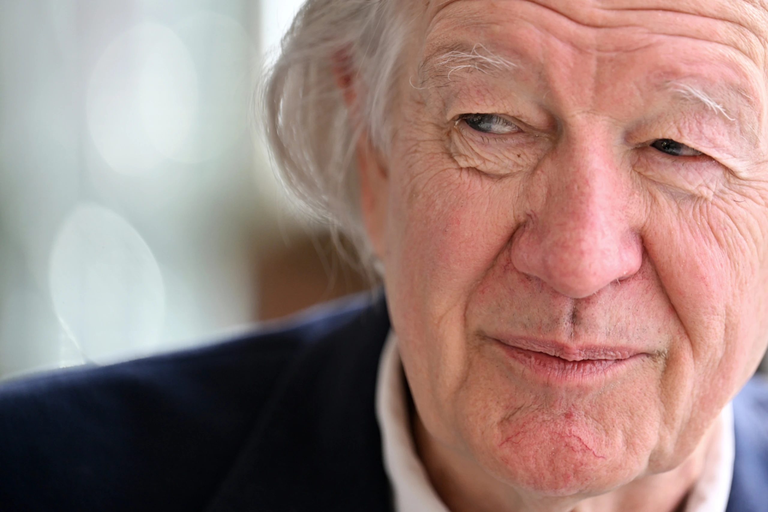 Armin Thurnher legt ein neues Buch vor