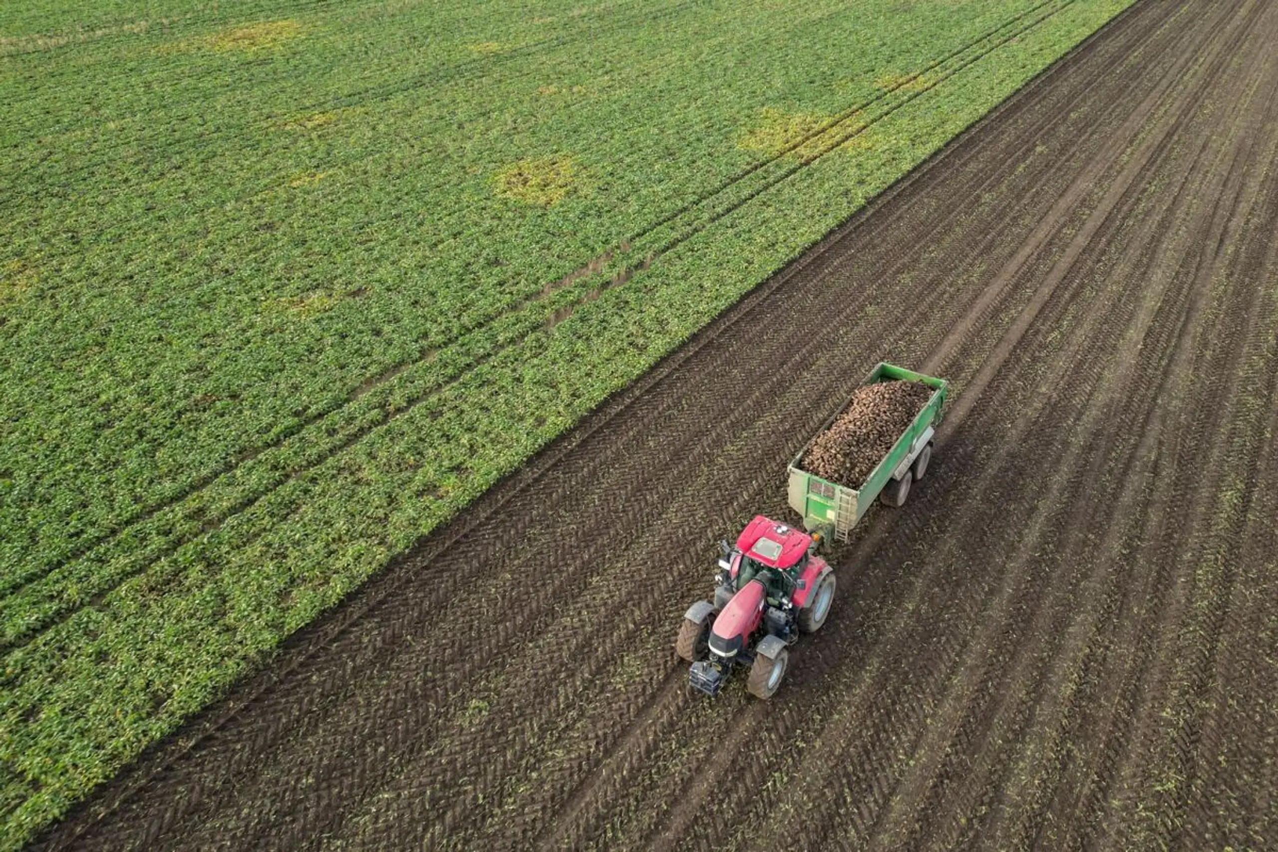 ++ ARCHIVBILD ++ Landwirtschaftsflächen werden vielerorts stark ausgeweitet