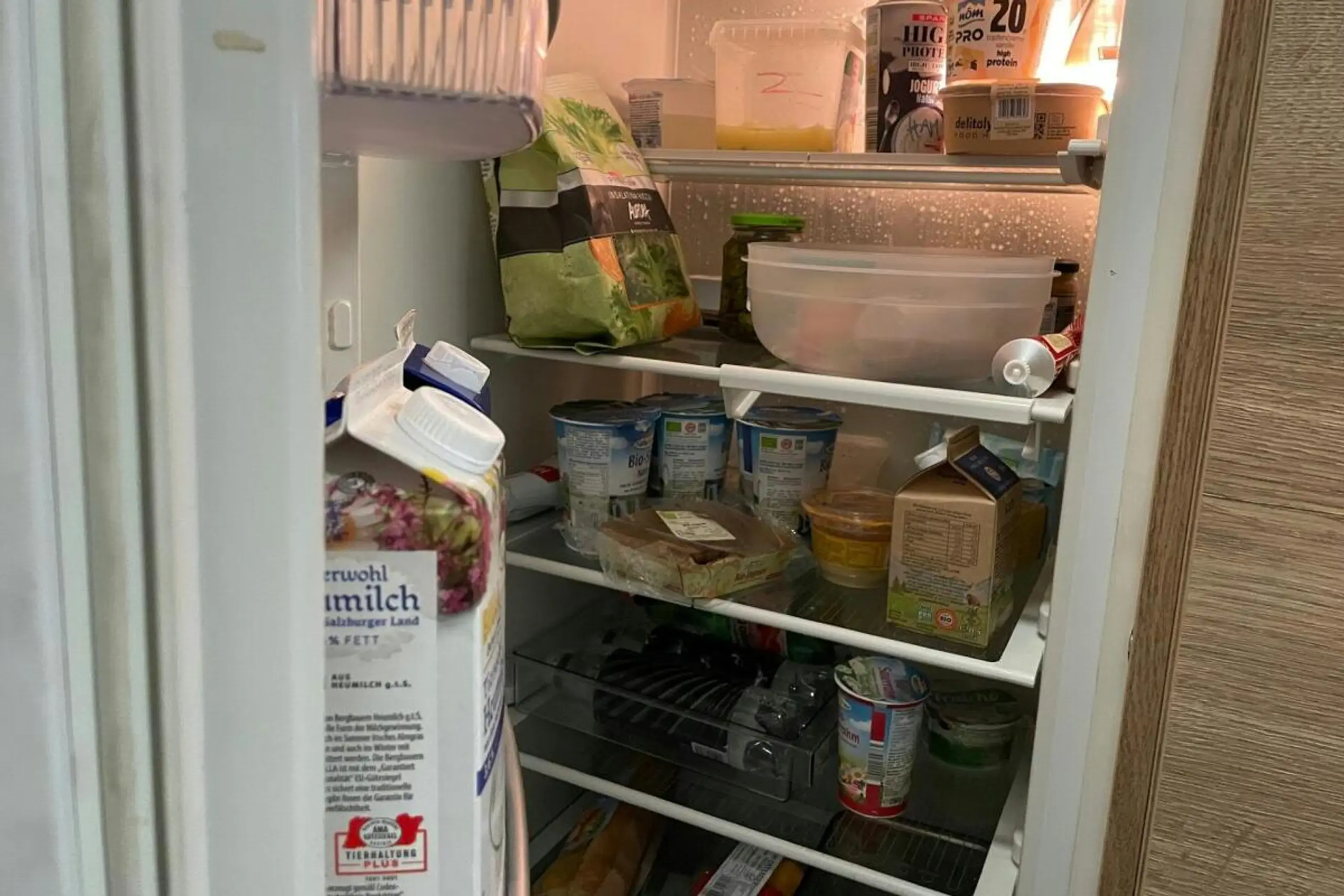 Regelmäßiges Putzen wichtigste Maßnahme