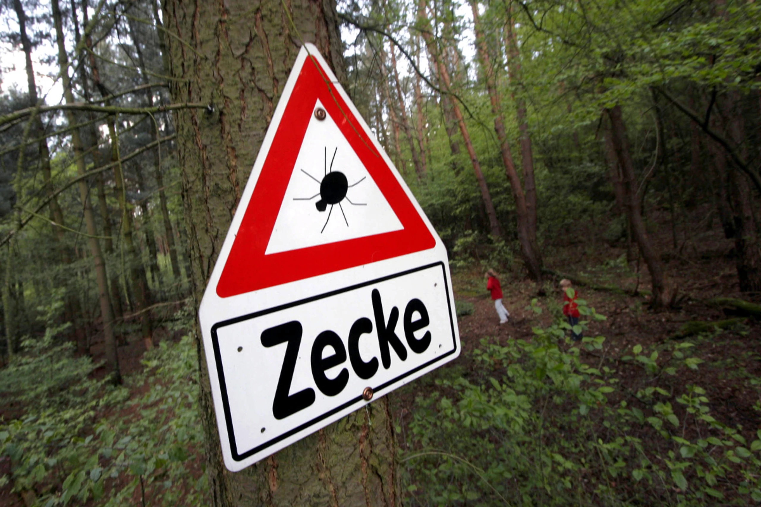 Impfung alle drei bis fünf Jahre auffrischen