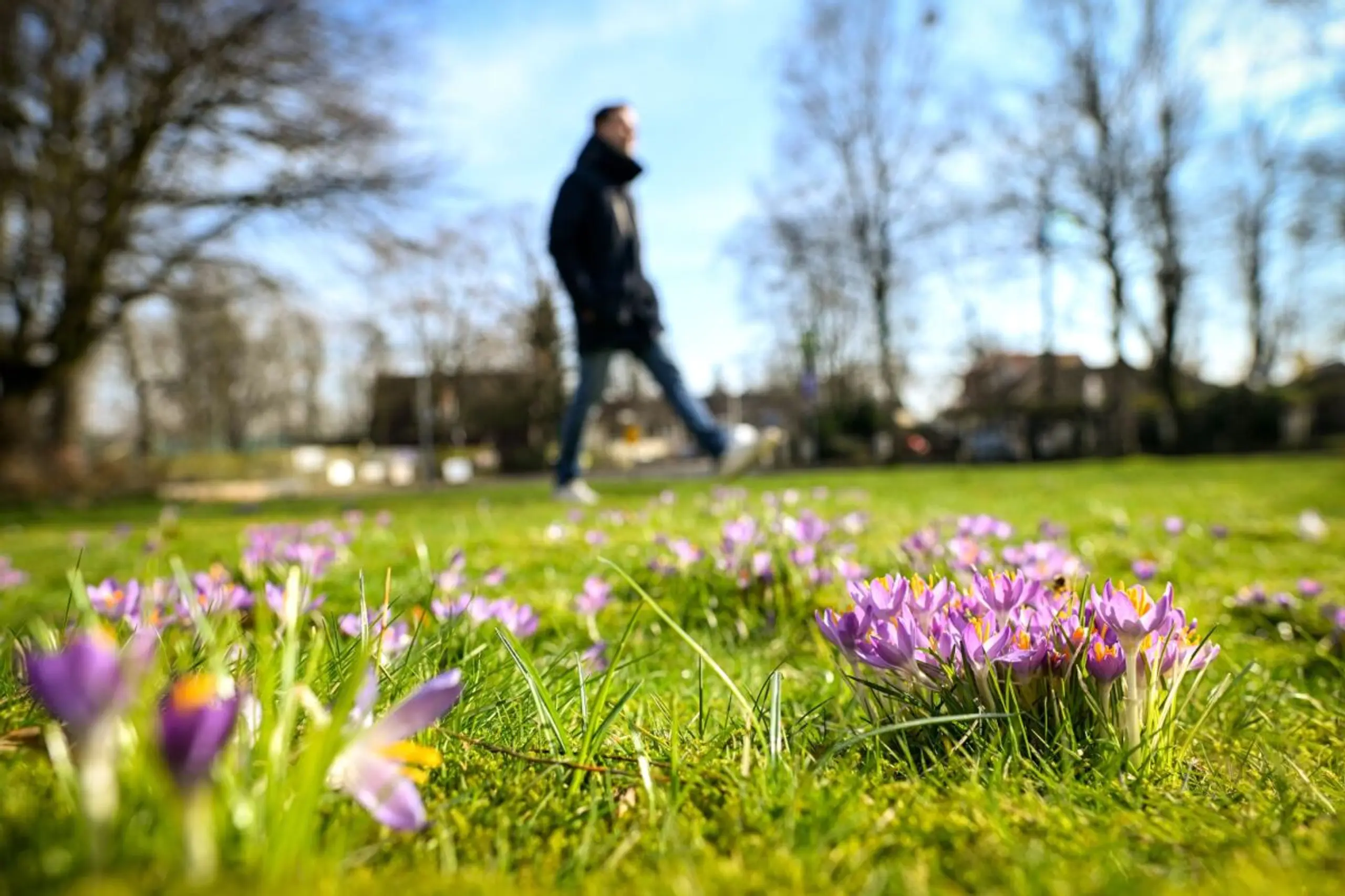 ++ ARCHIVBILD ++ Frühlingsgefühle sind kein Mythos, mehr Licht hebt die Stimmung