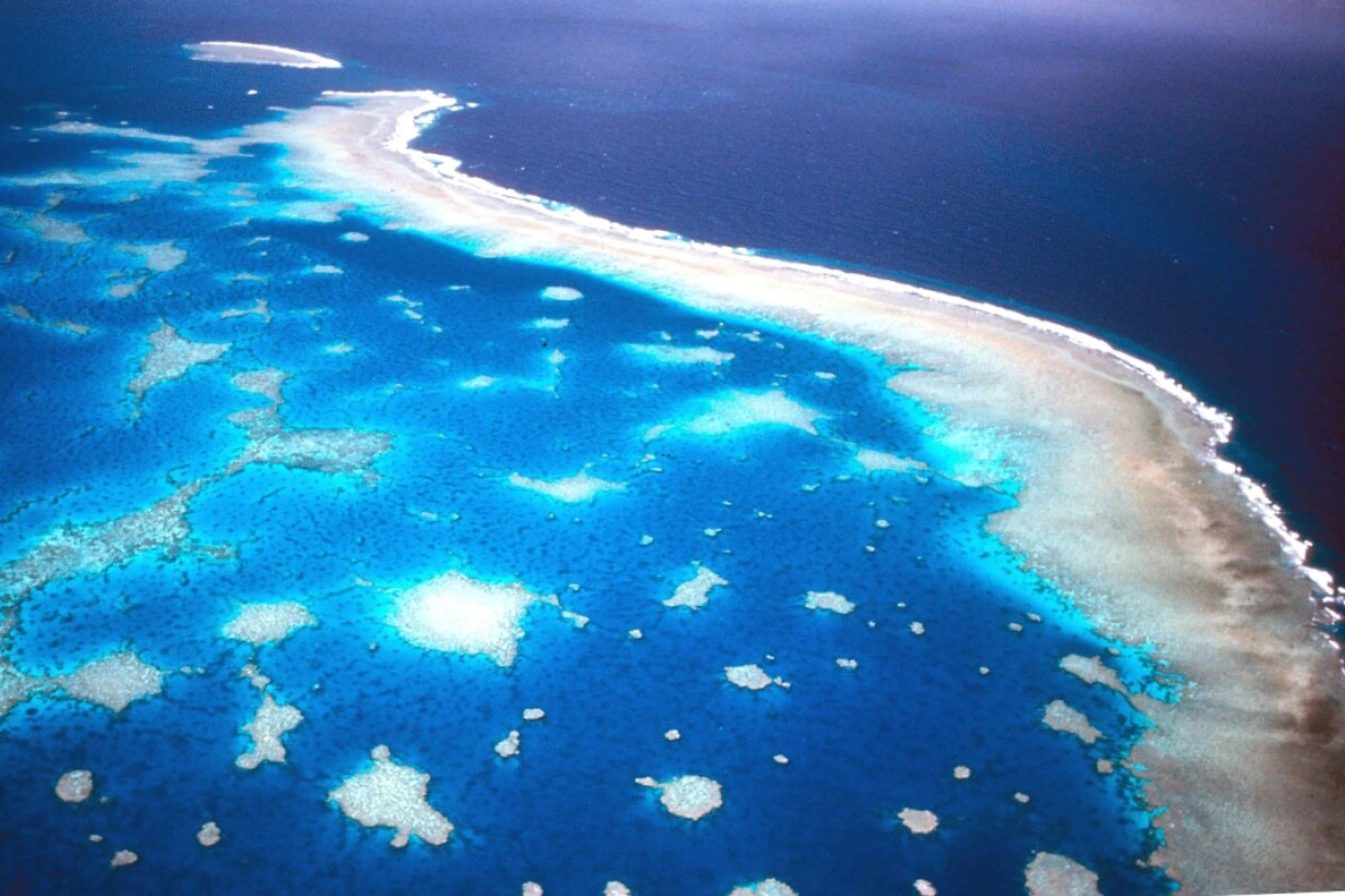 Luftaufnahme des Great Barrier Riffs vor der Küste Australiens