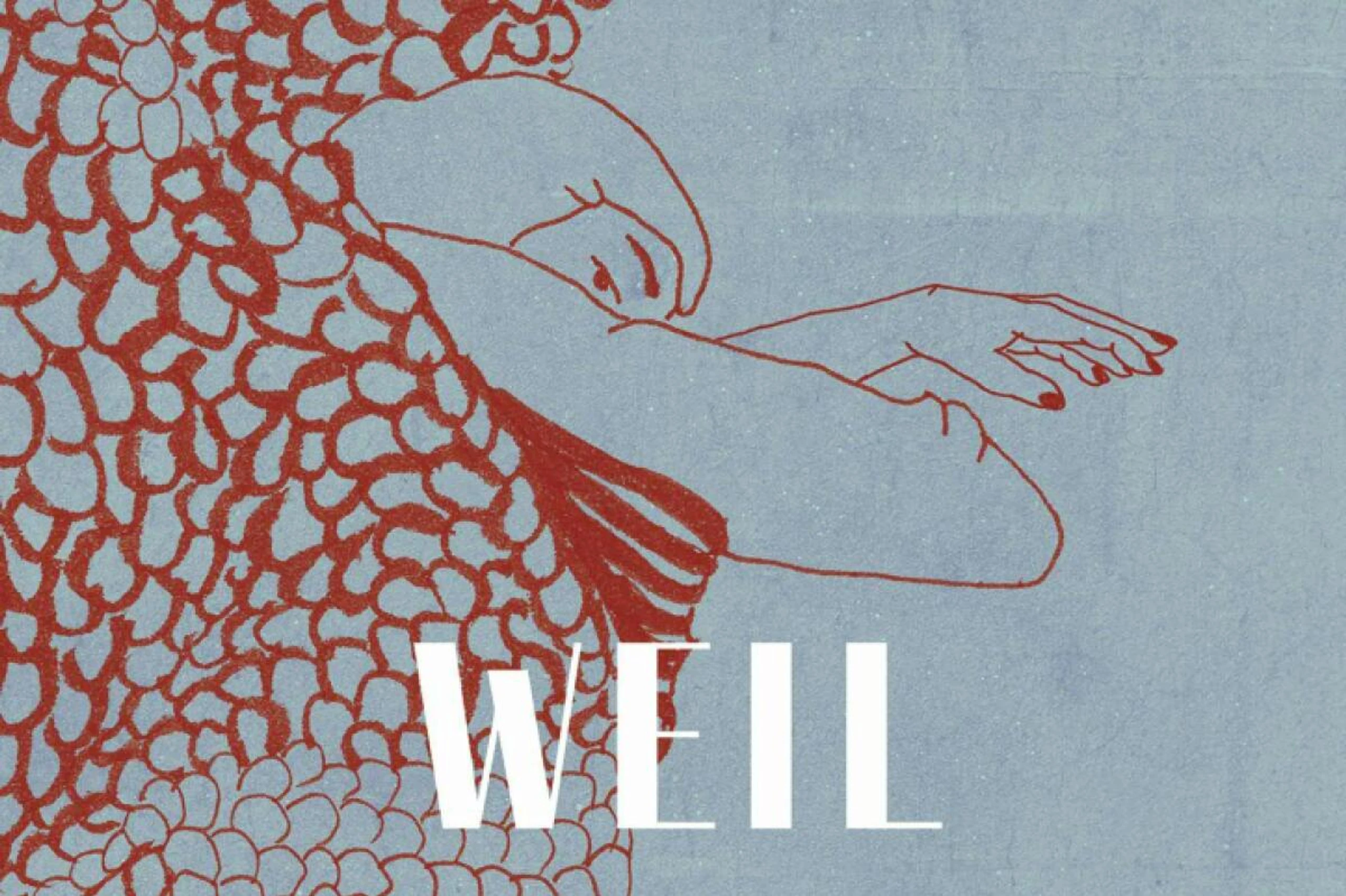 Neuer Roman der Schweizerin Julia Weber