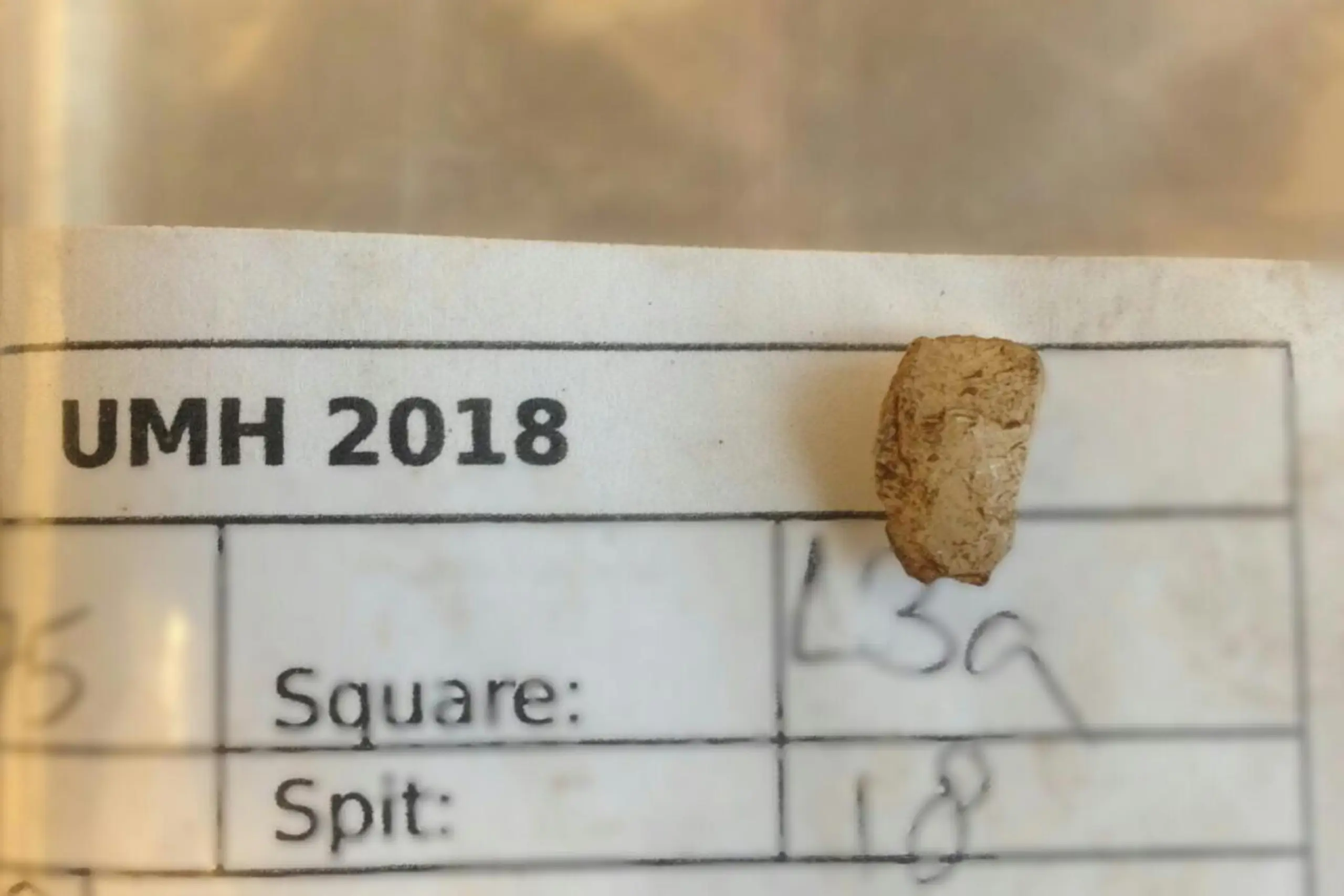 Miniaturisierter Kern aus Quartz mit Amboss-Technik bearbeitet