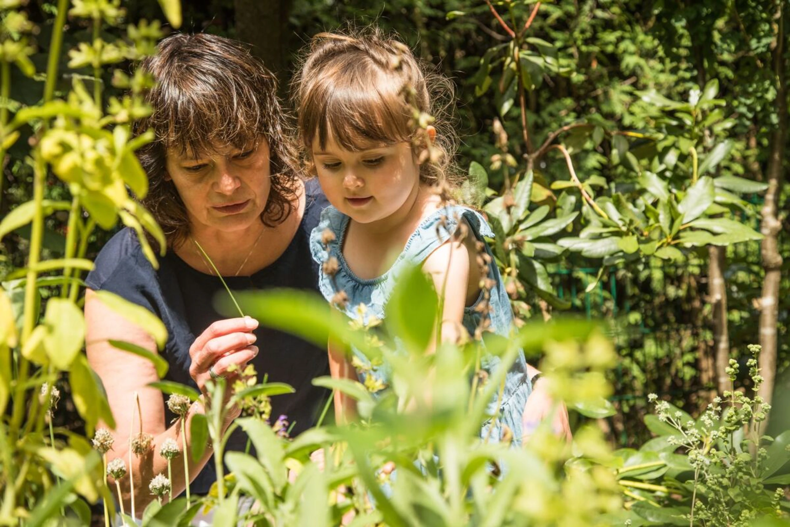 Verschiedene Zonen schaffen Struktur und Sicherheit im Garten