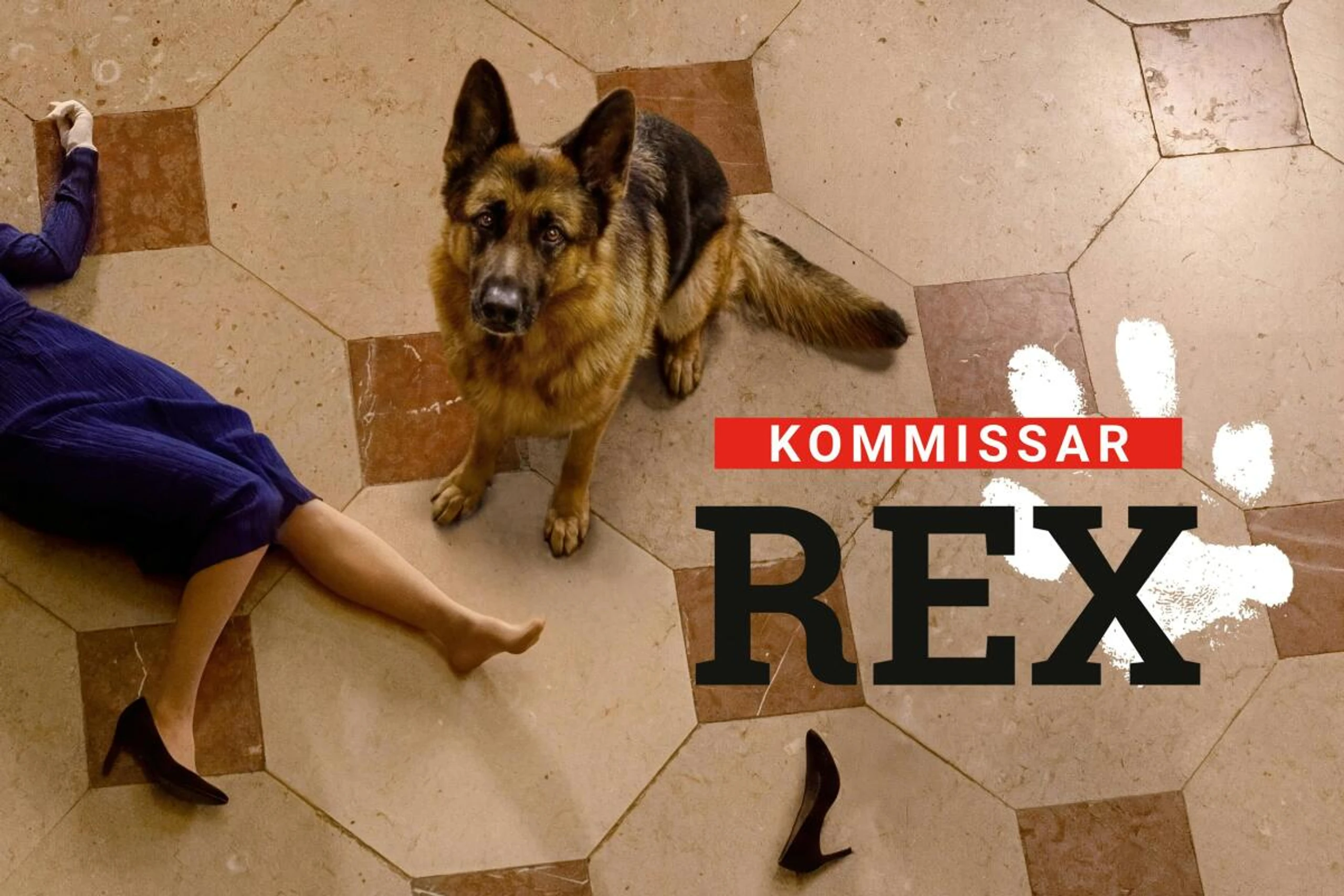 Die Spürnase Kommissar Rex ist mal wieder gefragt