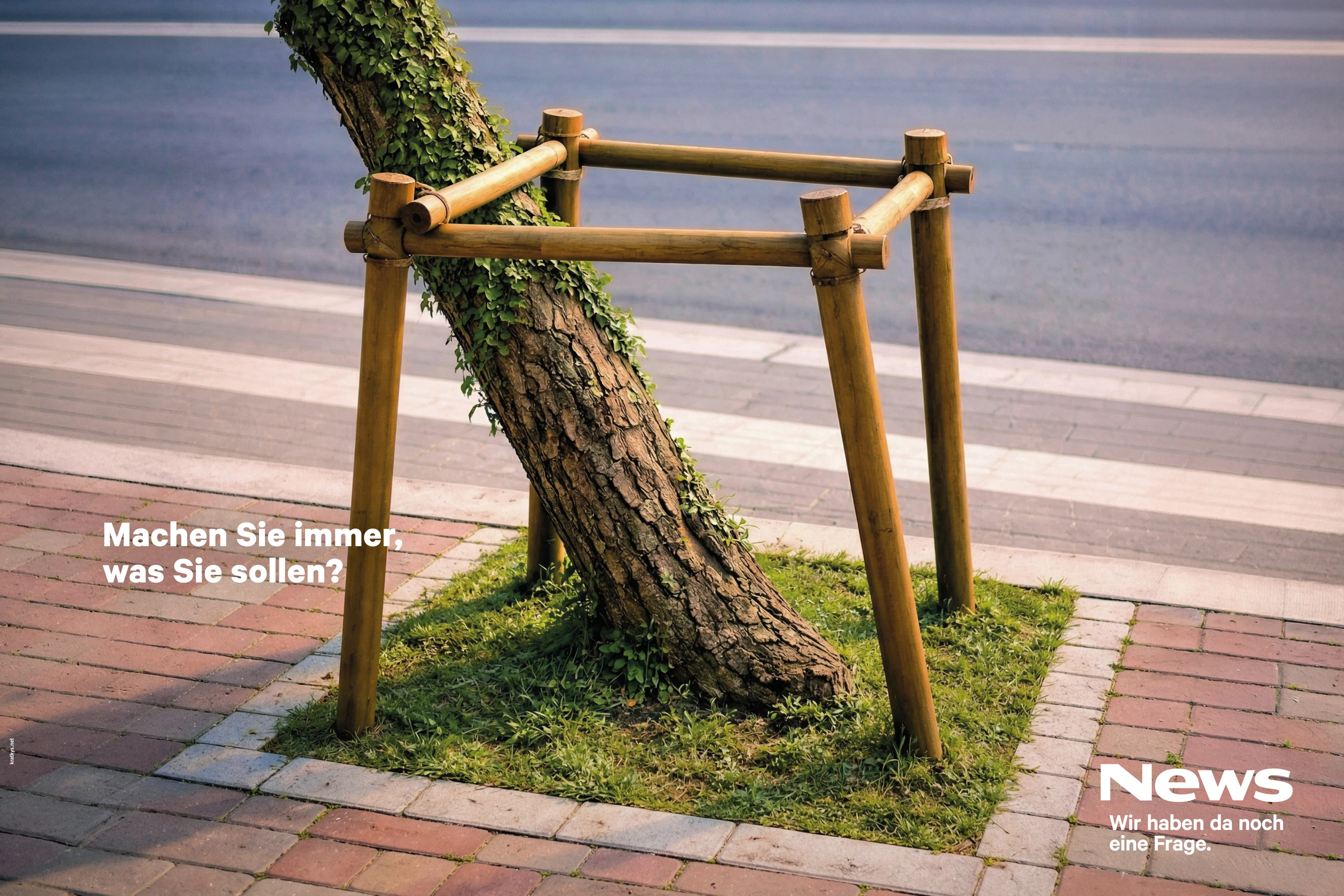 Blurred image background