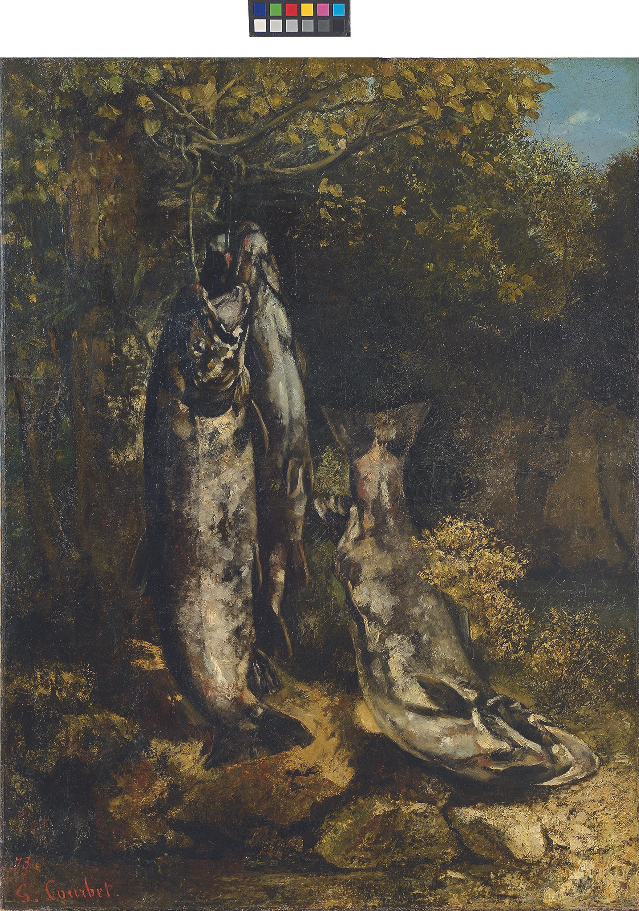 Blurred image background