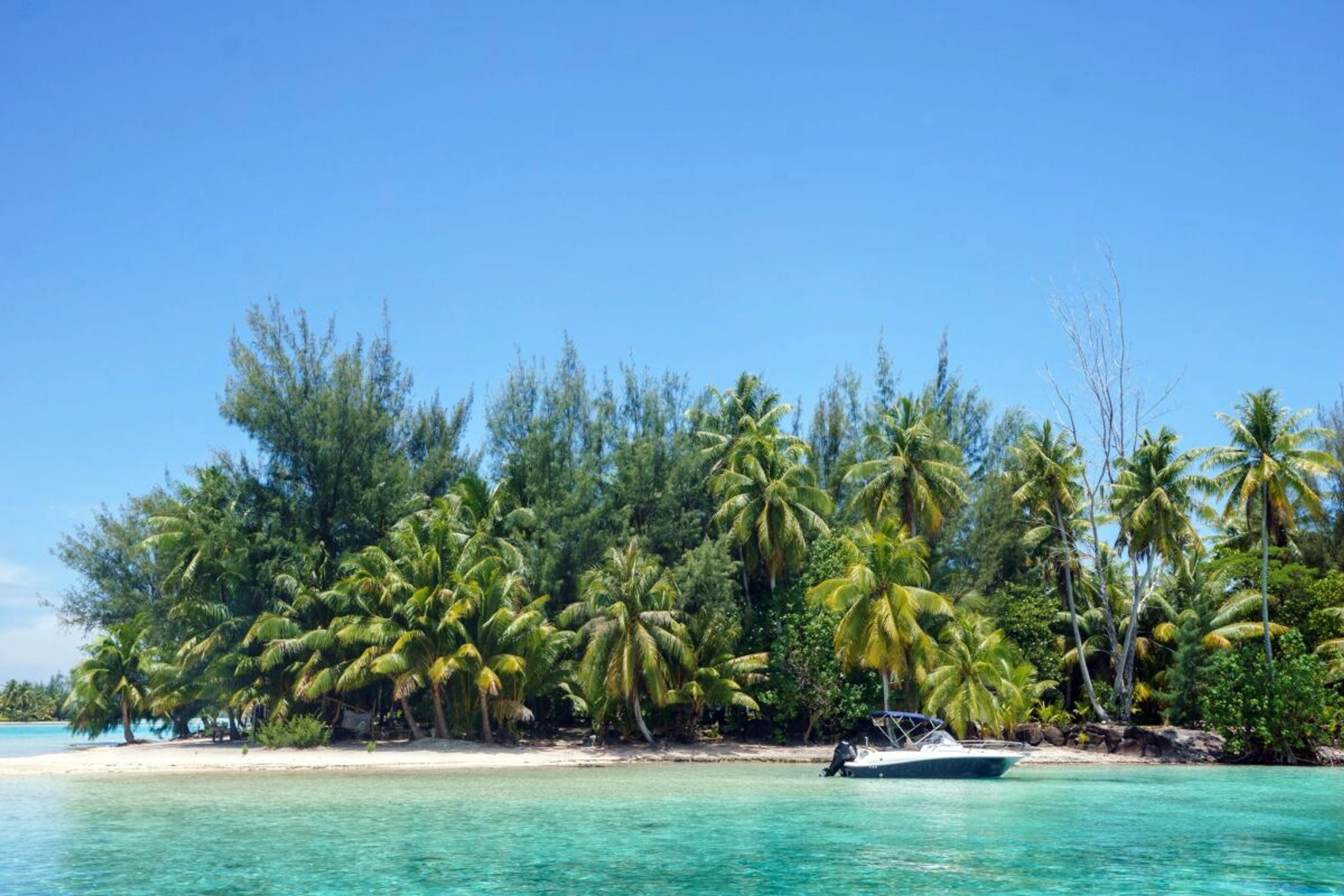 Durch das herunterschrauben bisheriger Ausgaben kann man Geld sparen