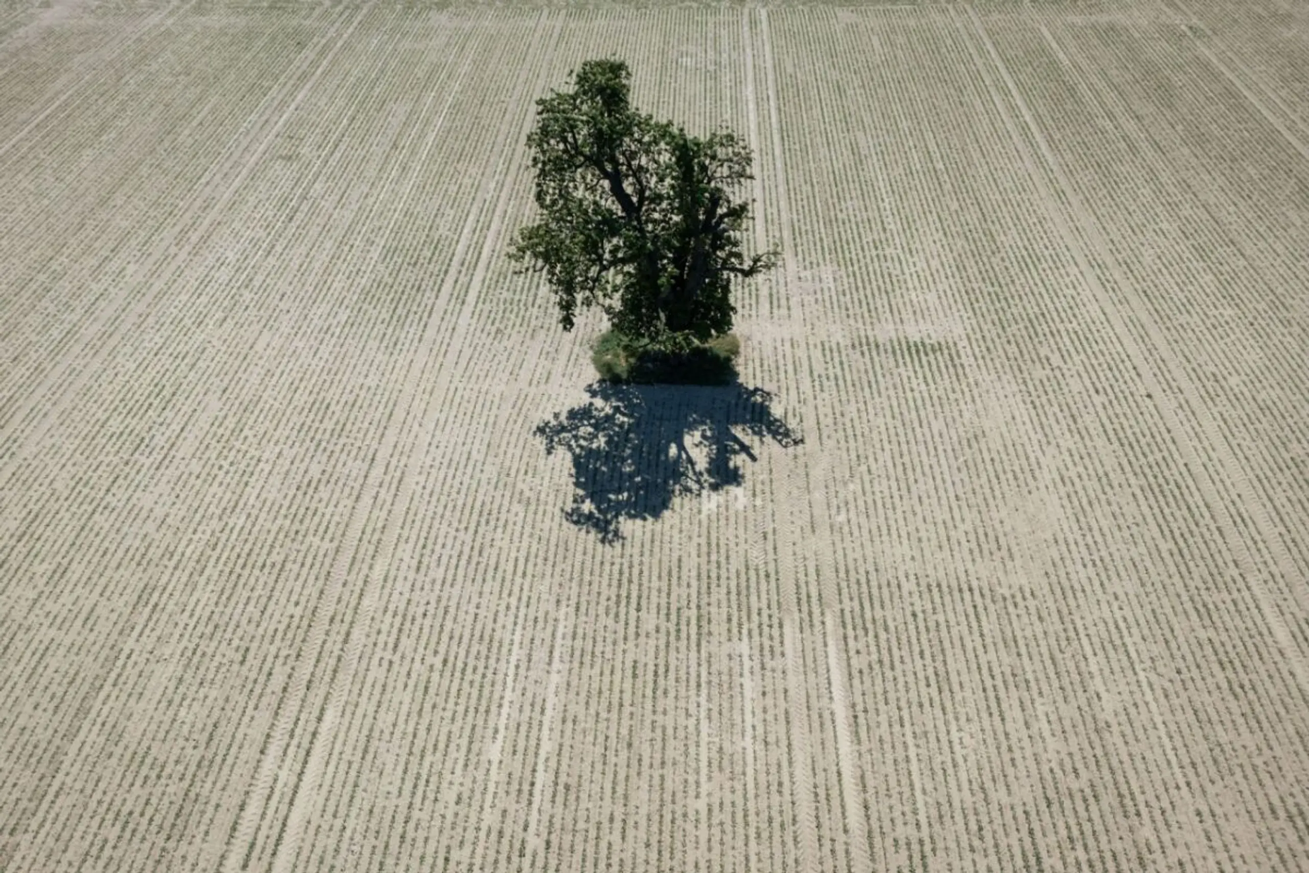 ++ ARCHIVBILD ++ EU-Staaten nahmen neues Klimaschutzziel an