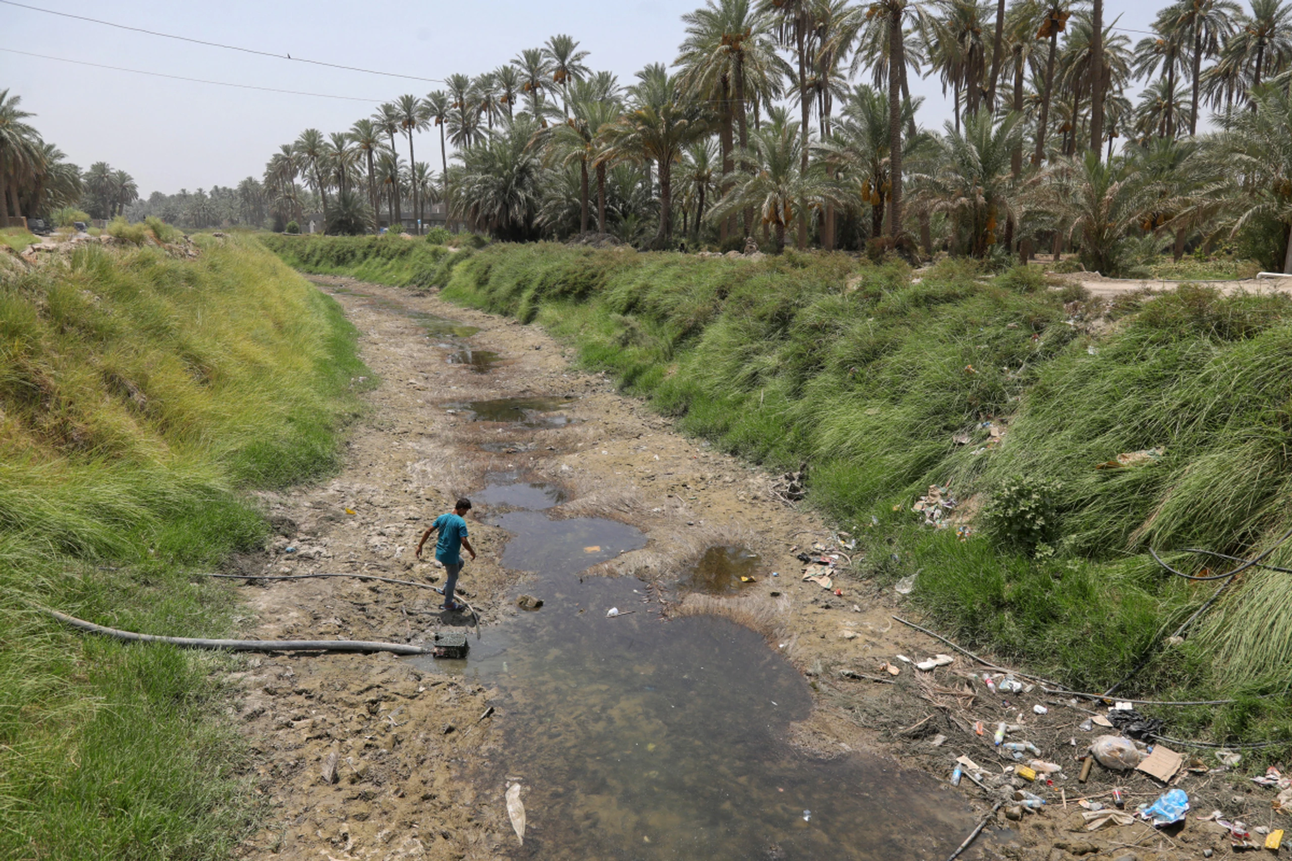 Hitzefolgen nehmen zu