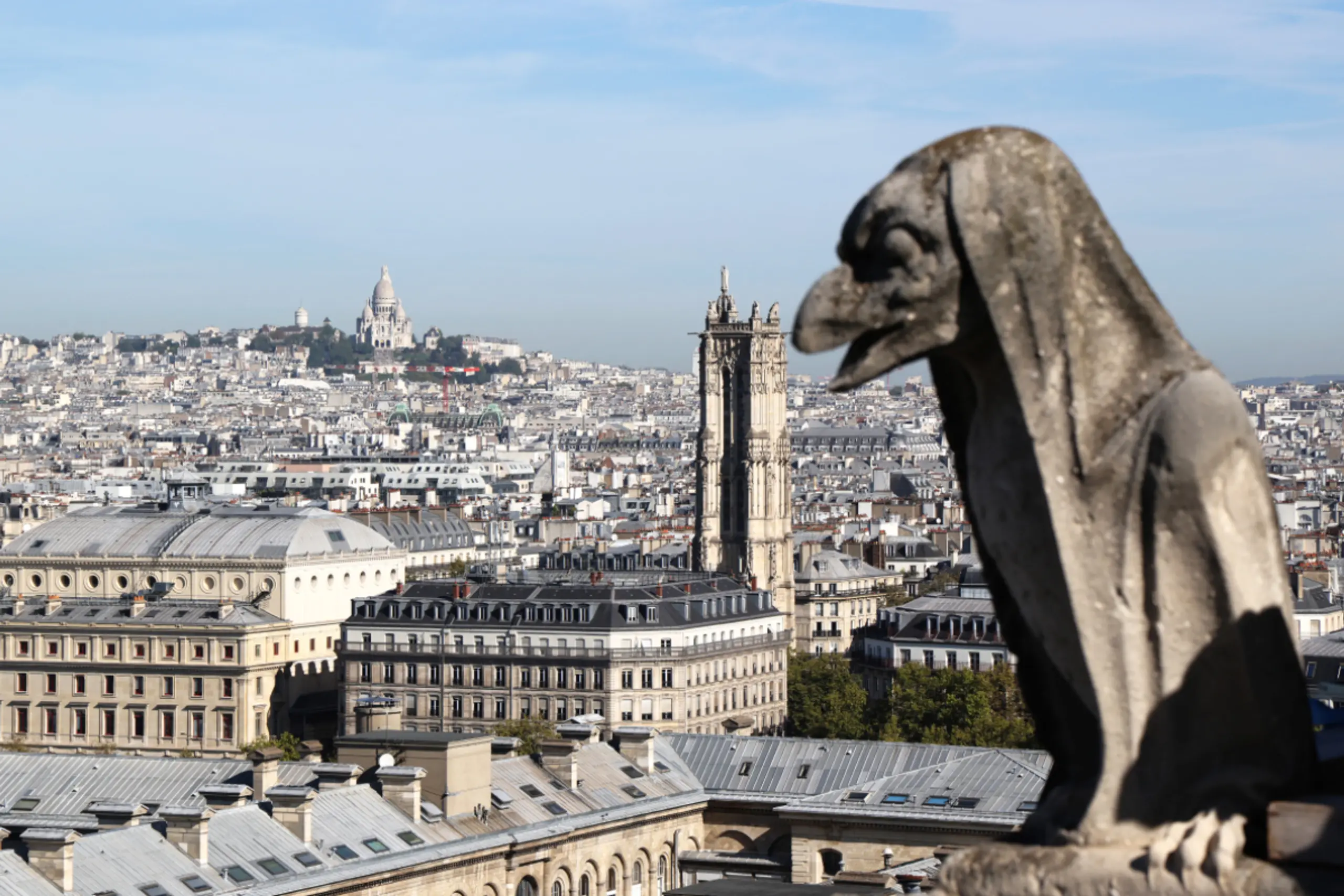 Eine mythologische Chimäre auf der Notre-Dame in Paris