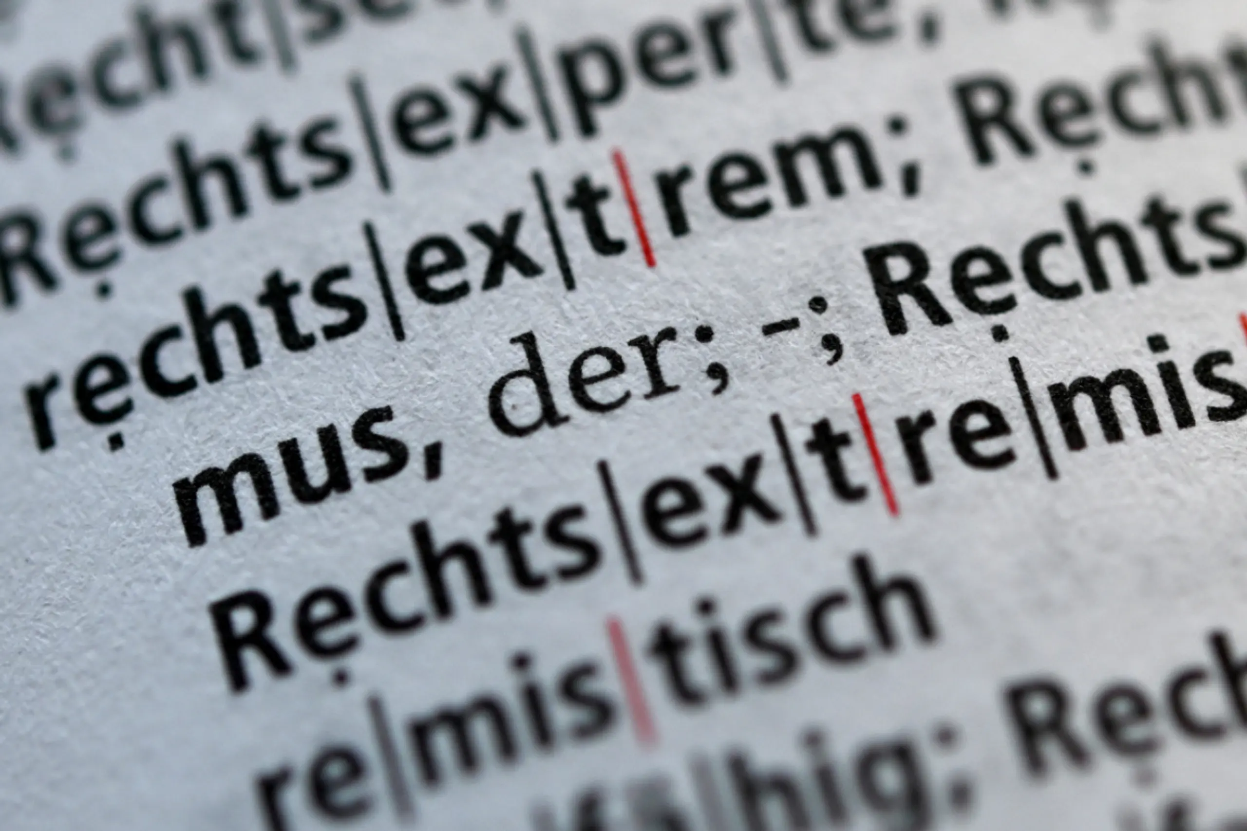 In den letzten Jahren immer mehr Fälle von Rechtsextremismus verzeichnet