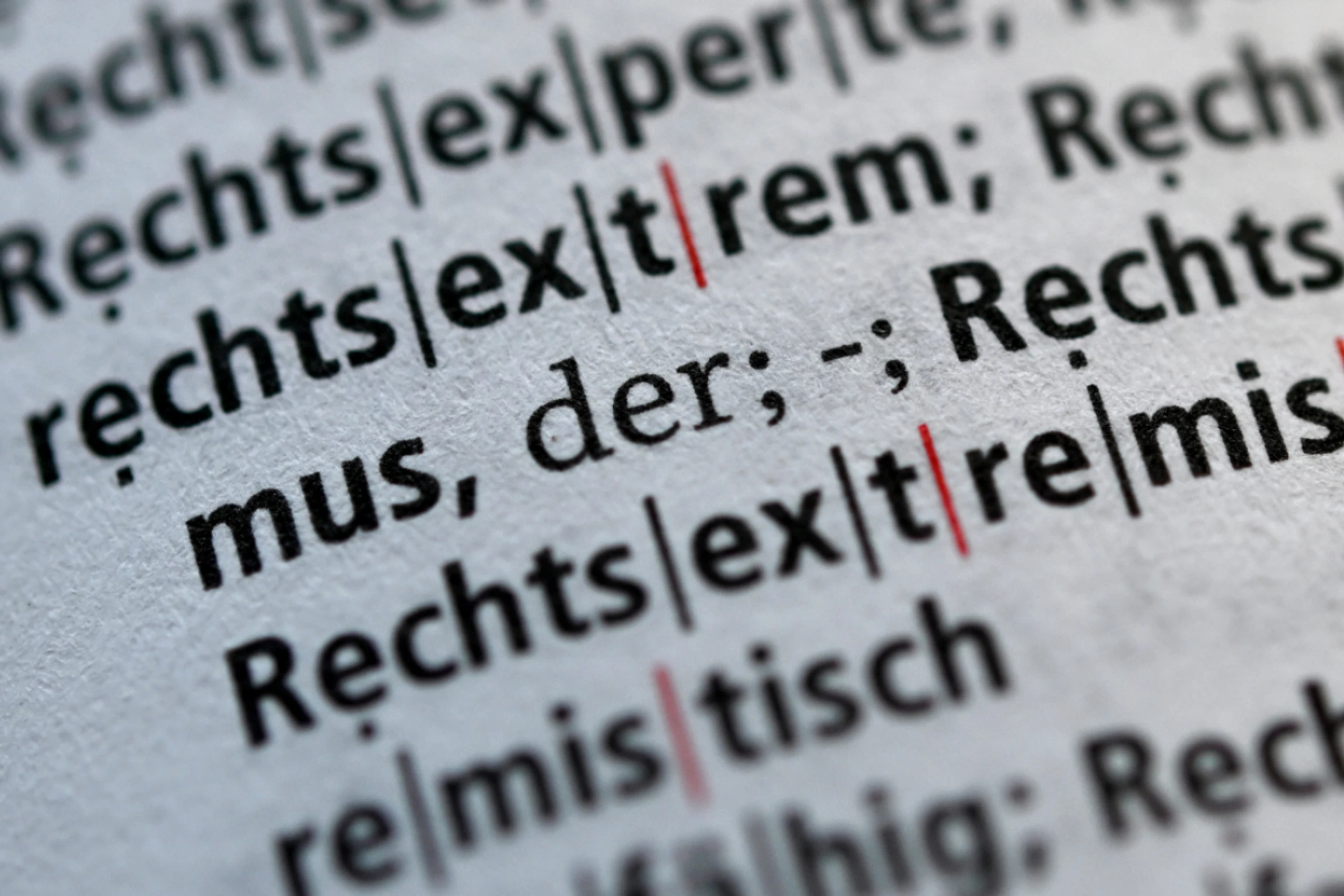 In den letzten Jahren immer mehr Fälle von Rechtsextremismus verzeichnet