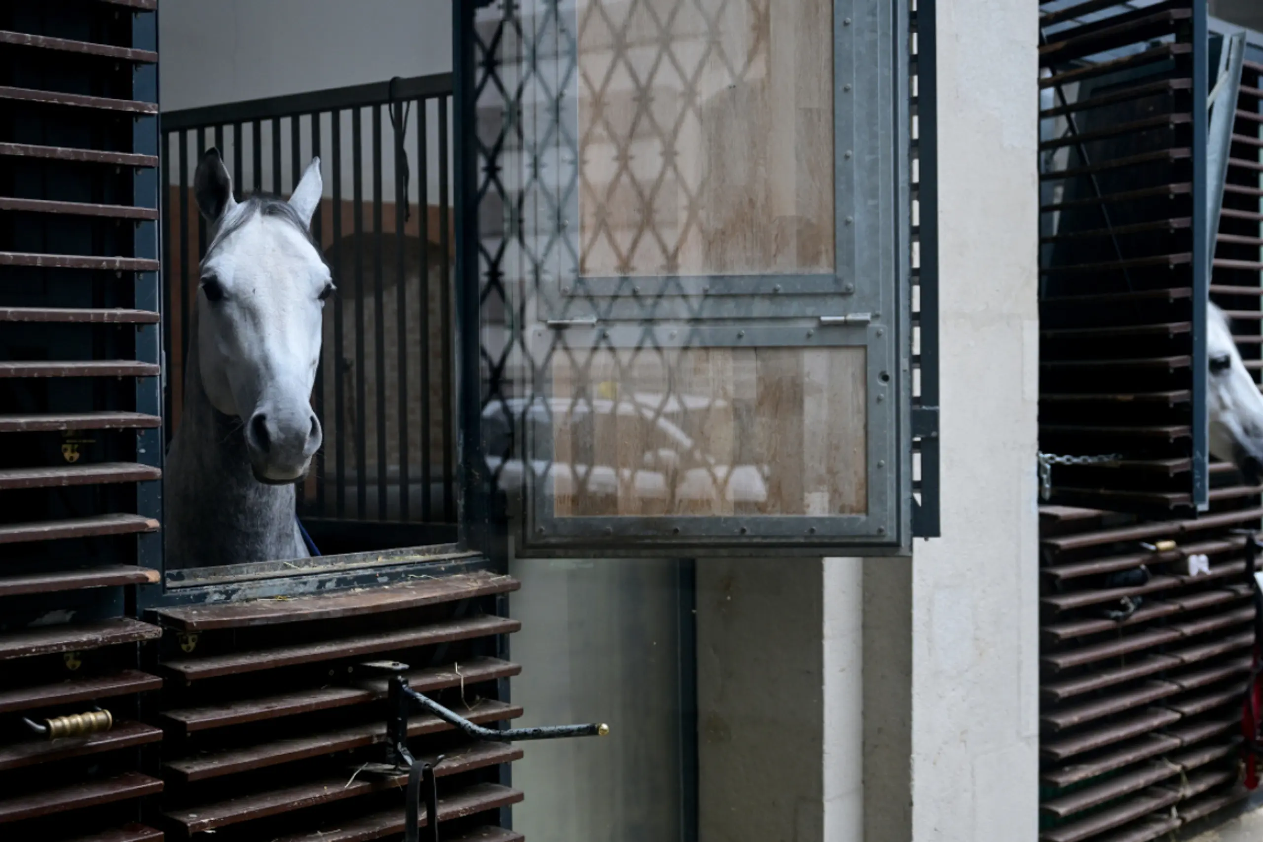 War zuletzt Geschäftsführerin des Hofburg-Kongresszentrums