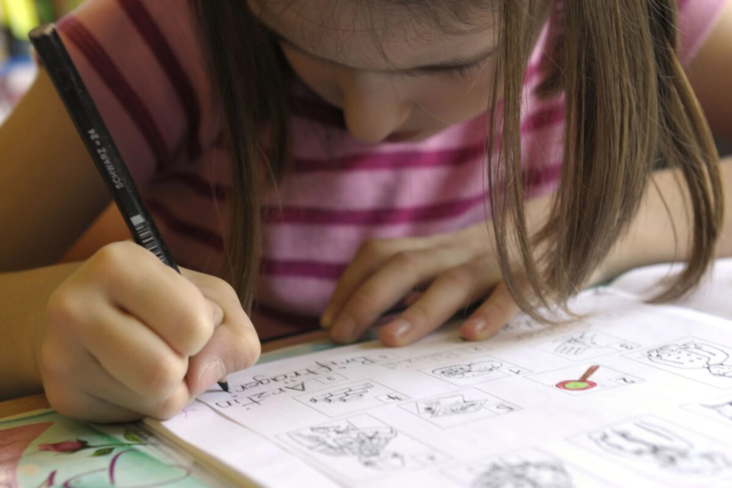 Eine neue Studie zeigt, was Österreichs Volksschulkinder können