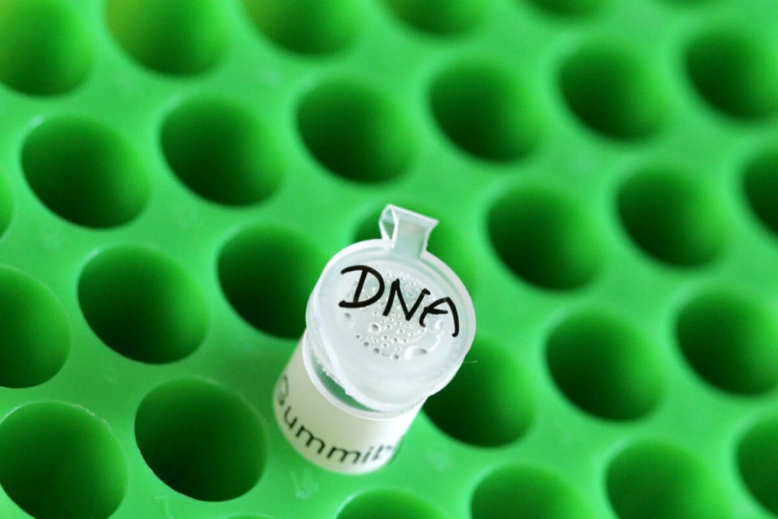 Forschungsteam untersuchten alte DNA von früheren Bewohnern