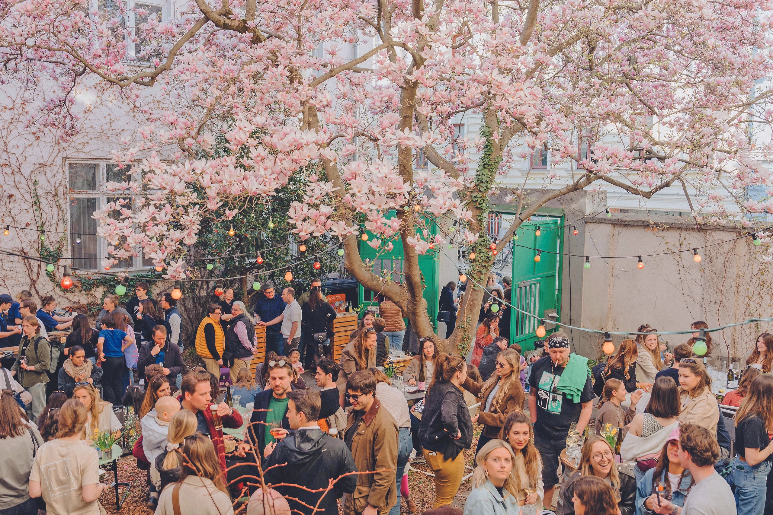 TOP 10: Die besten Märkte in Österreich