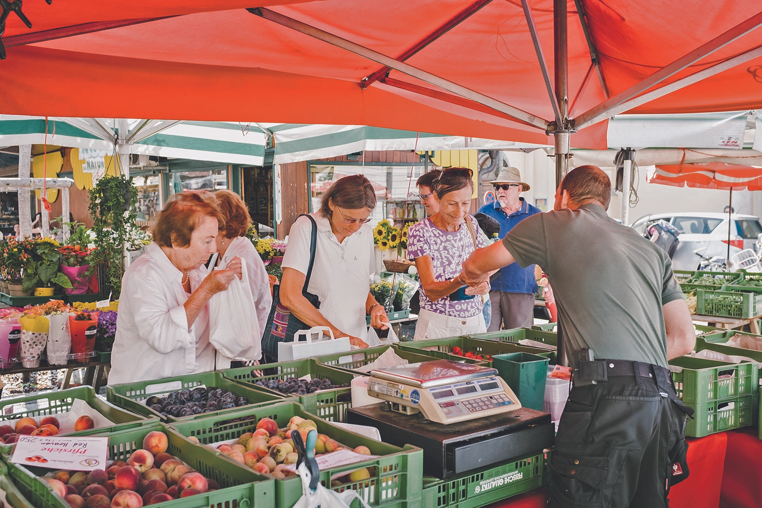 Der Markt als Gegenentwurf