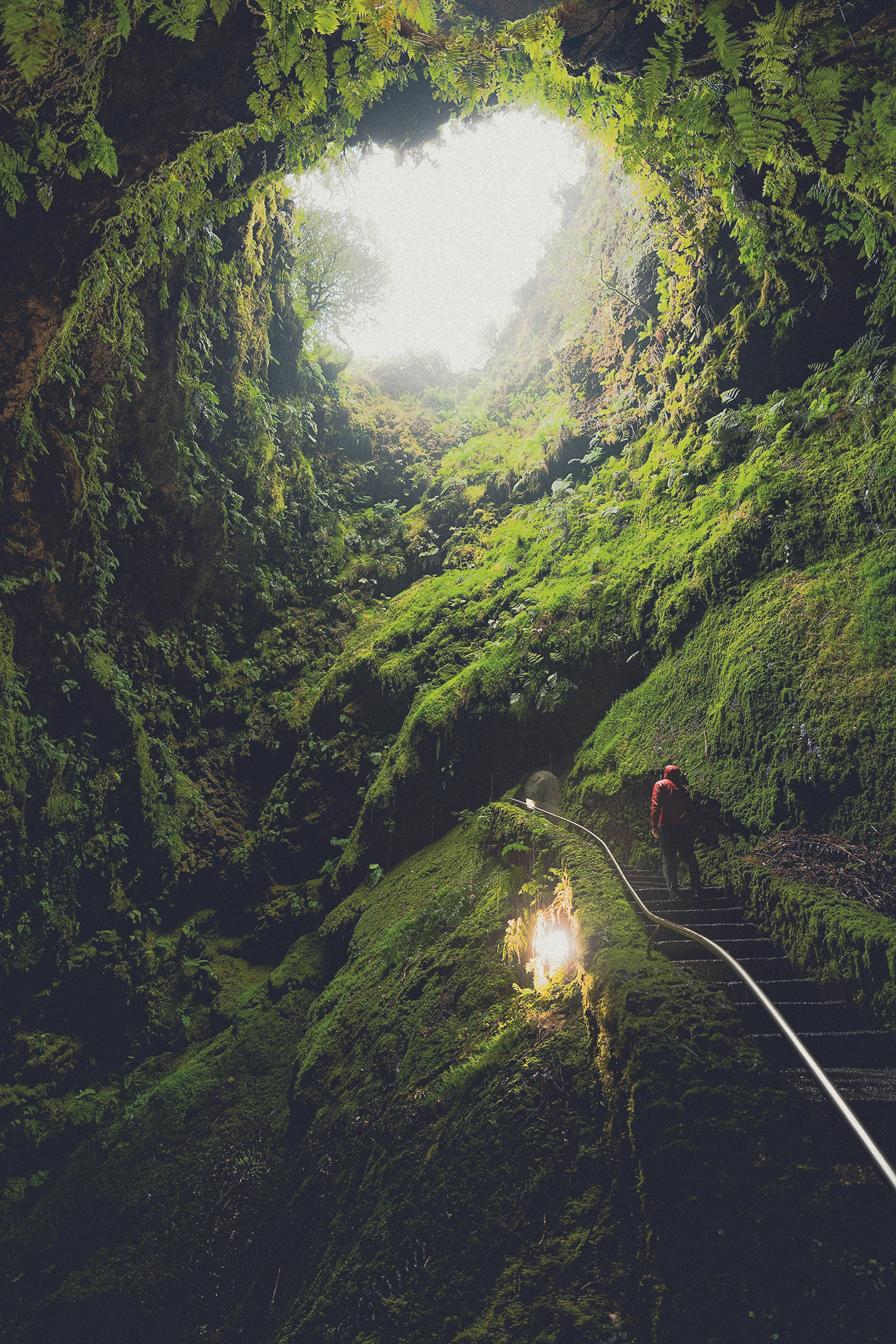 © Damir Babacic/Unsplash Bild