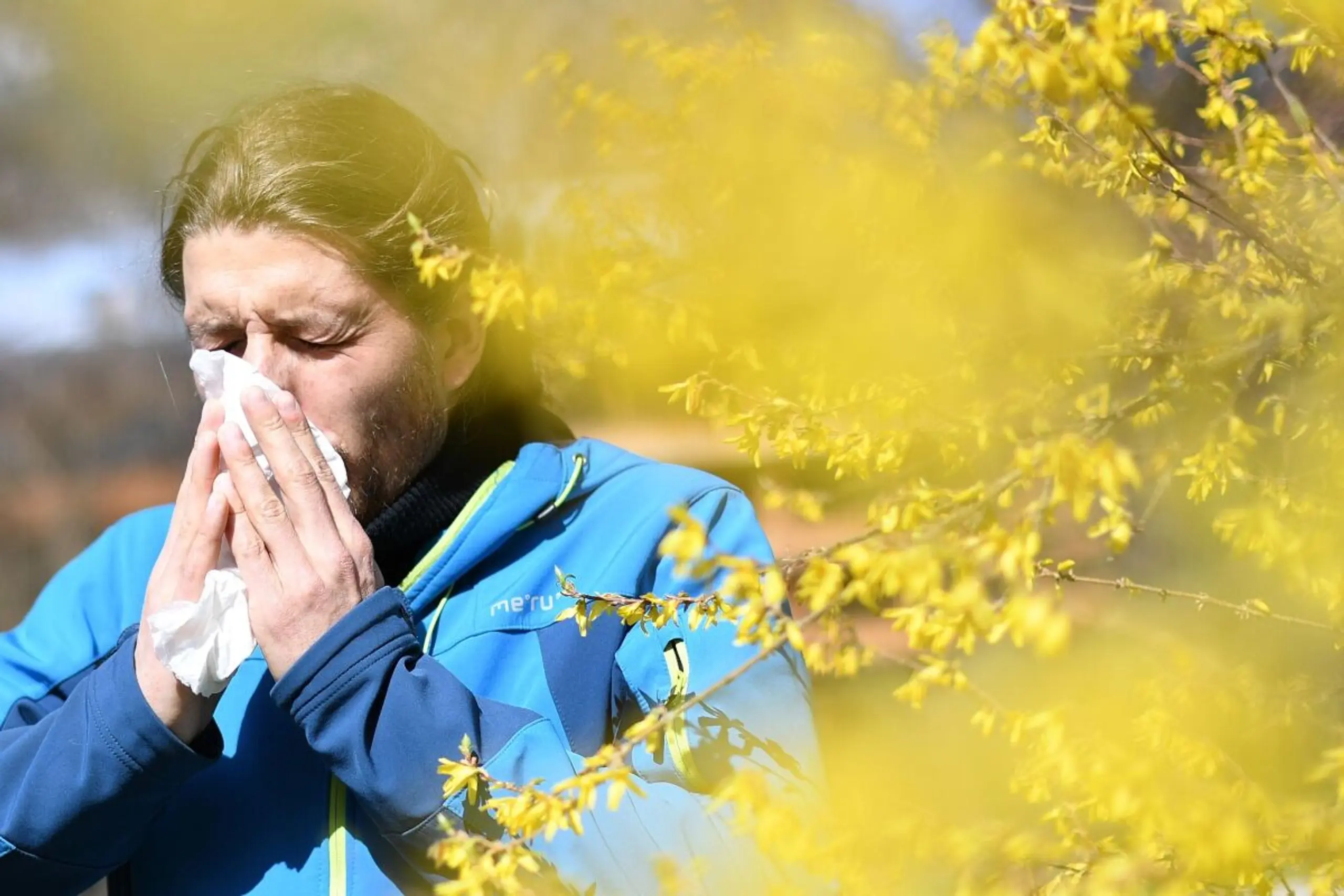 Training mit Pollen im Blick: Kurze Pausen können helfen