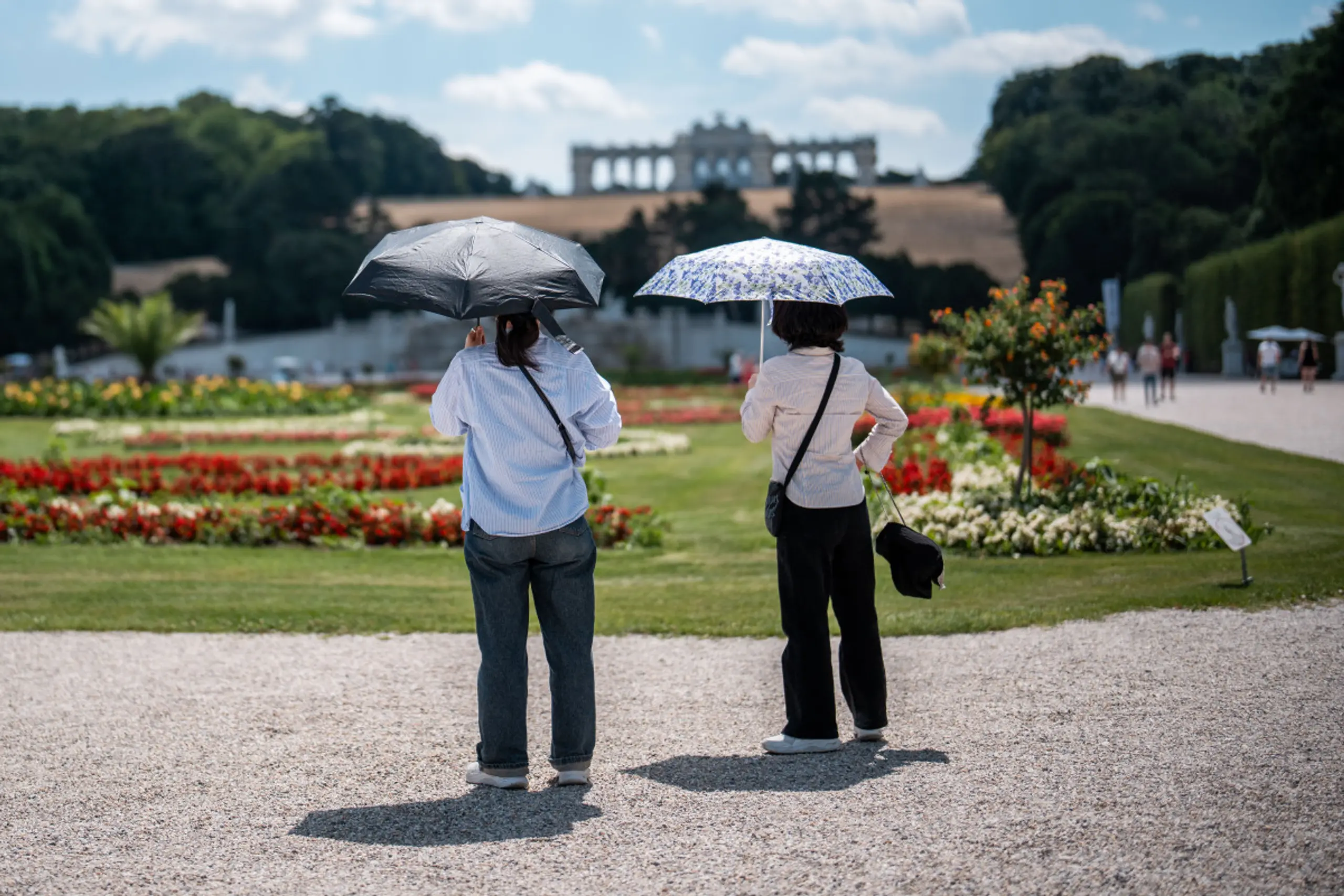 Die meisten kommen nach Wien