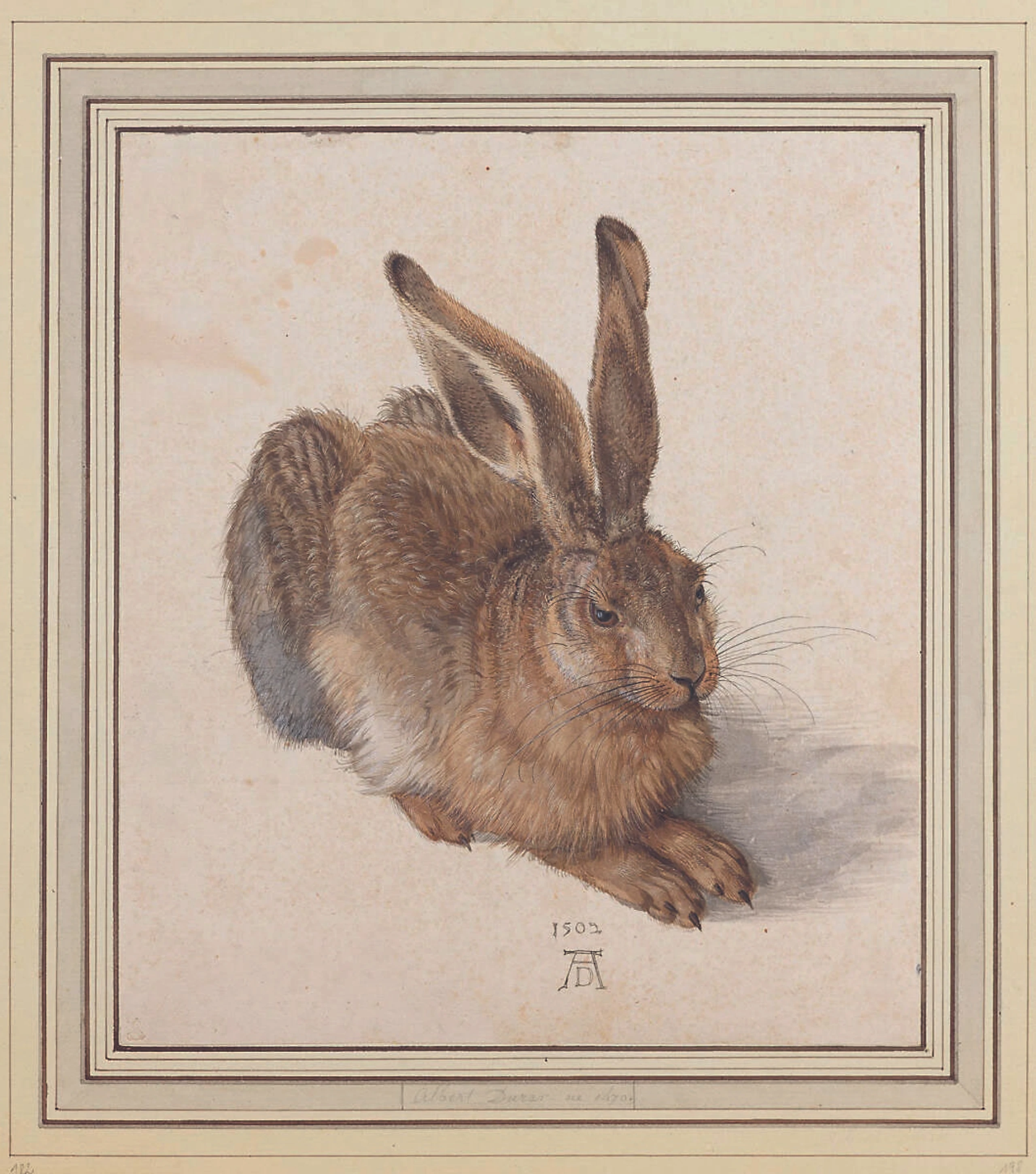 Blurred image background