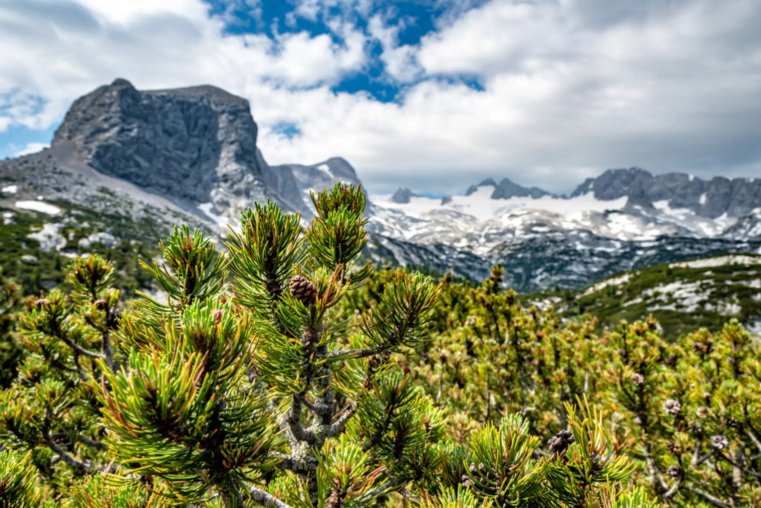 Auch die Alpengebiete haben "Klimaschadenschulden"
