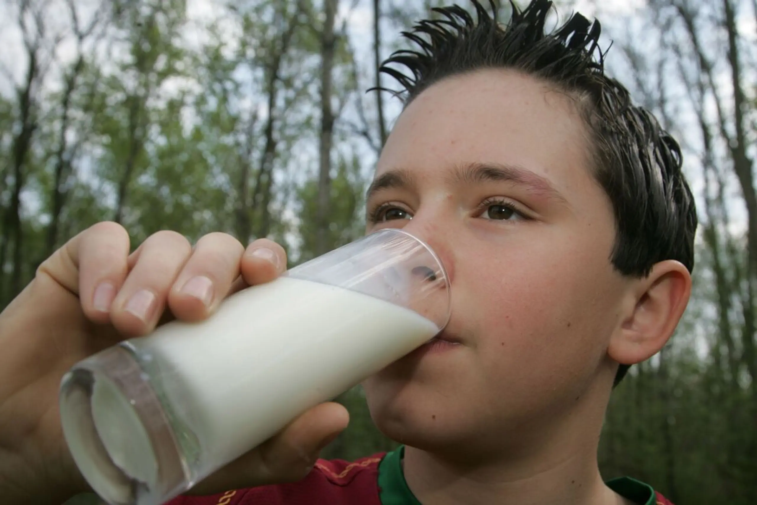 Hafer- und Mandelprodukte haben bessere Ergebnisse