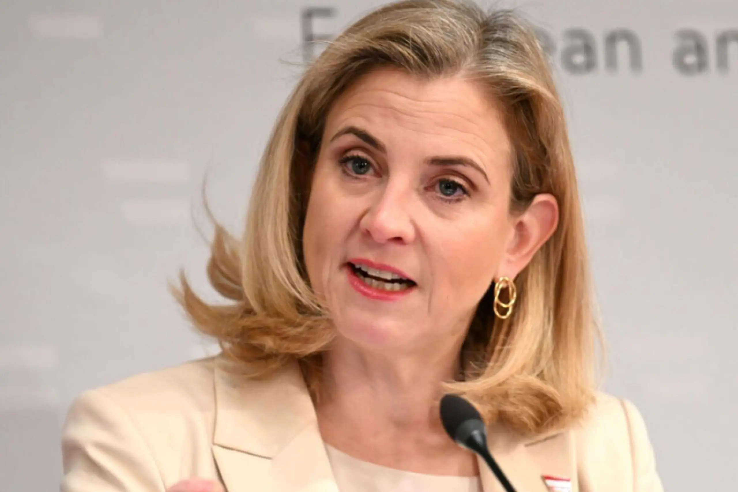 Außenministerin Beate Meinl-Reisinger (NEOS)