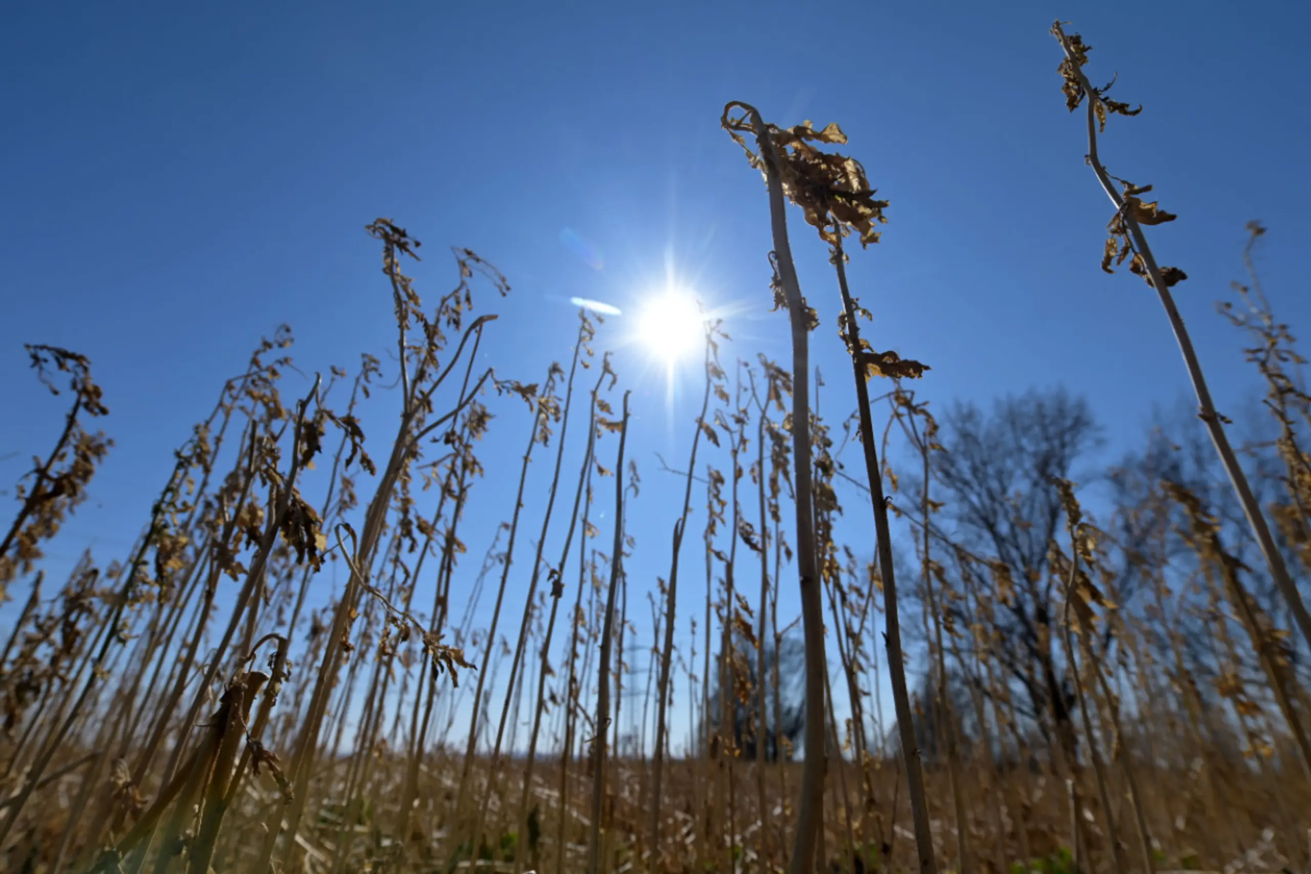 Austrocknende Böden lassen Kapillar- und Viskositätskräfte ansteigen