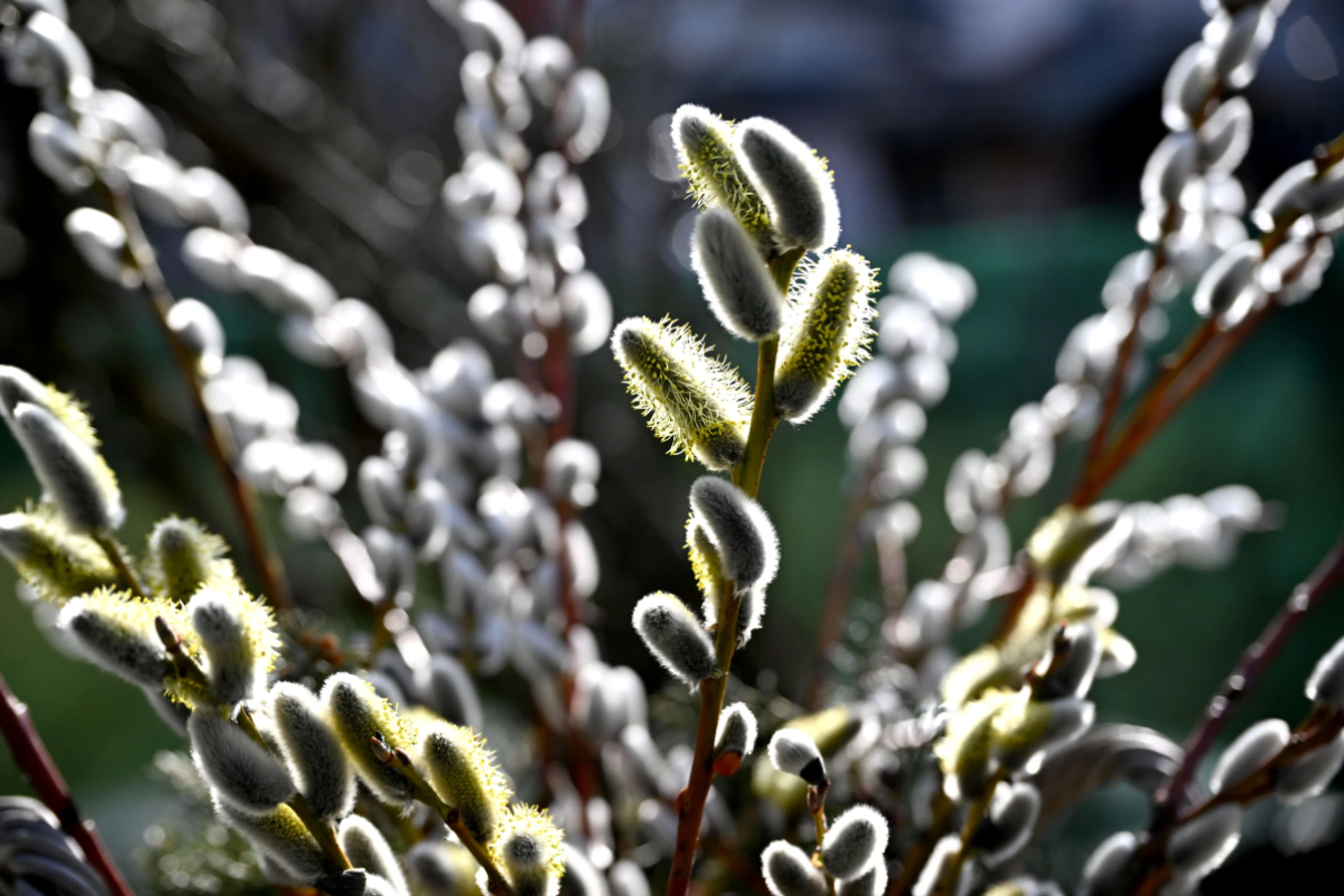 Nur 25 Prozent der Befragten planen fix einen Osterurlaub