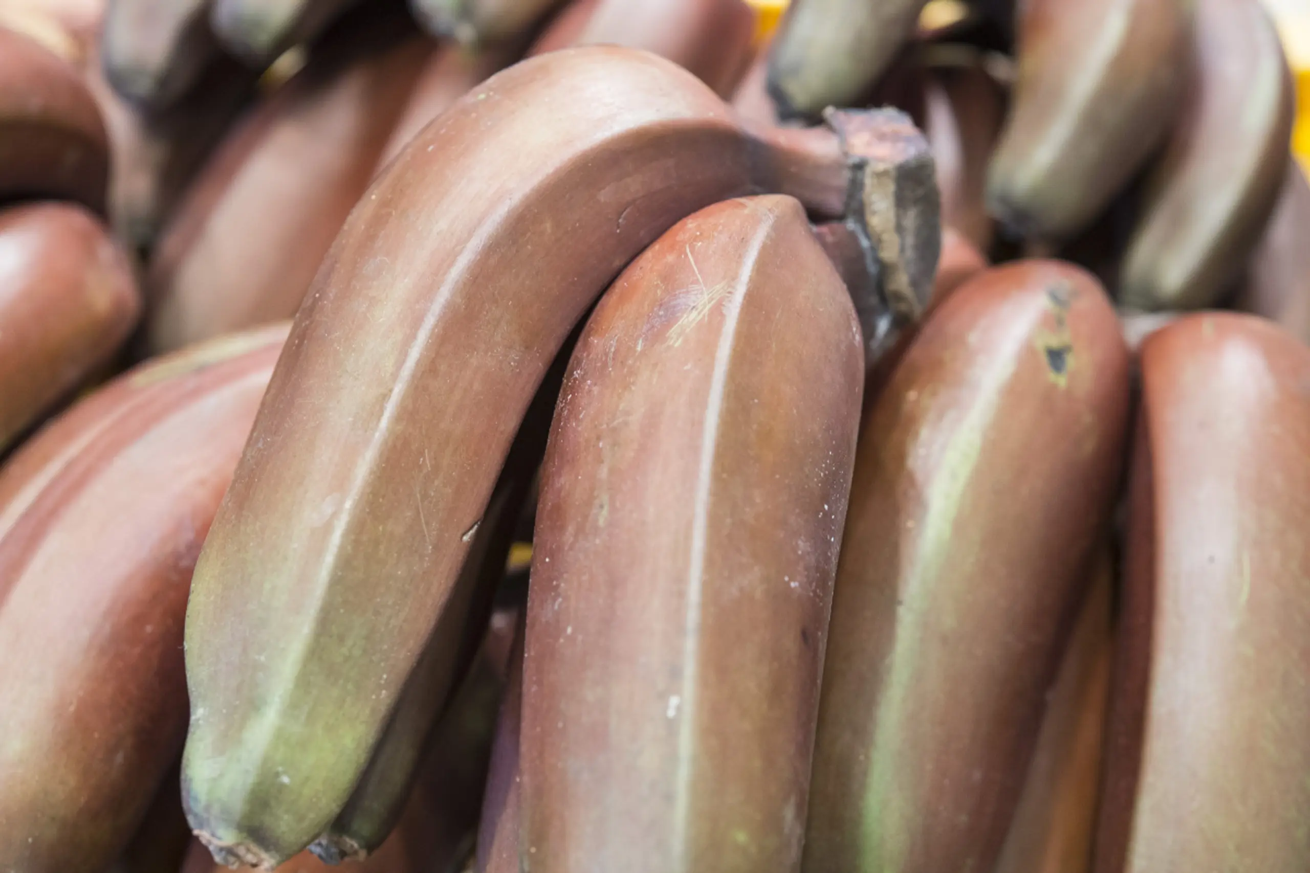 Bananenmehl wird aus unreifen und getrockneten Kochbananen hergestellt
