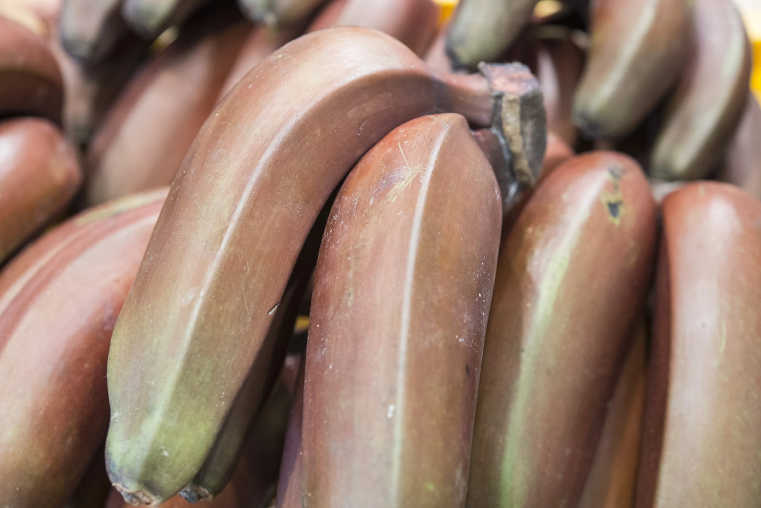 Bananenmehl wird aus unreifen und getrockneten Kochbananen hergestellt
