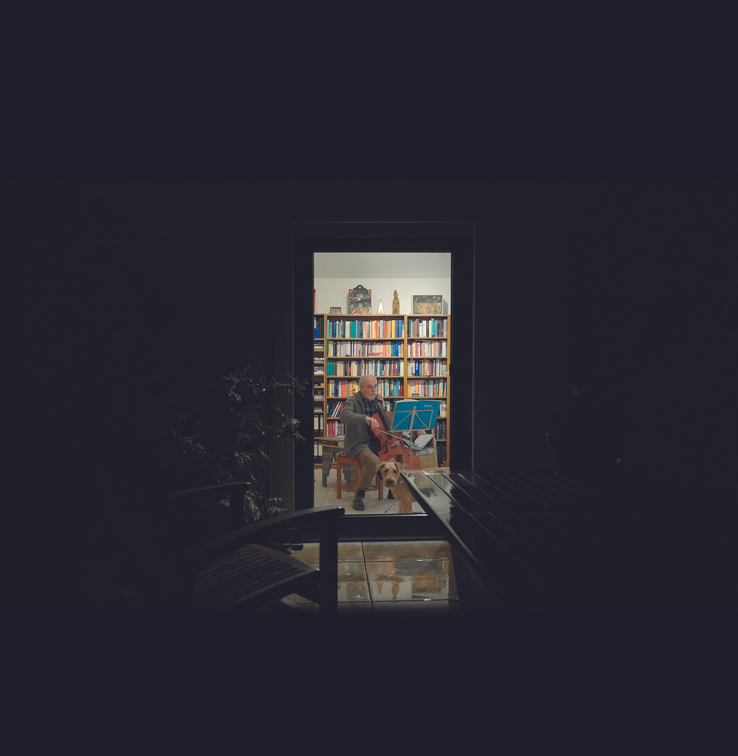 Blurred image background