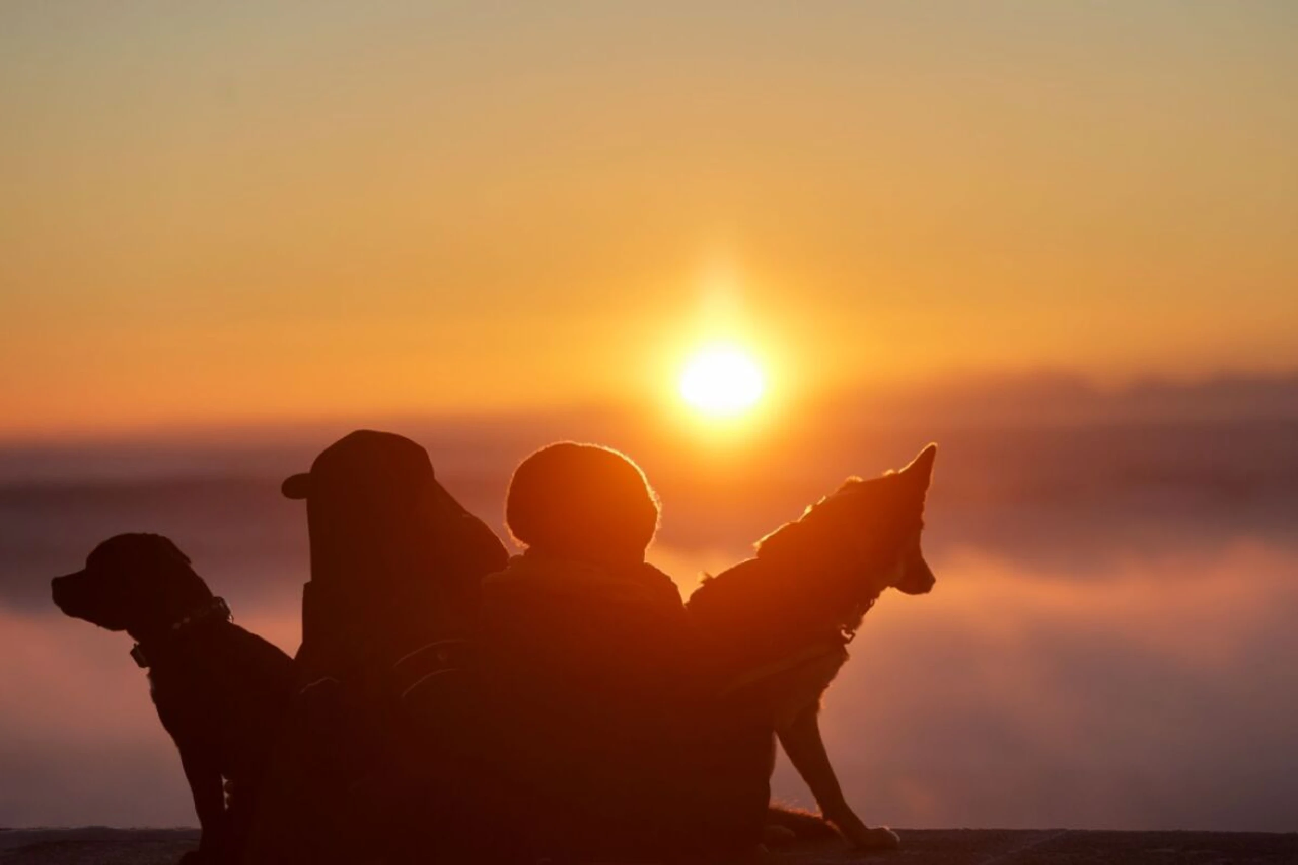 Mensch und Hund schon lange verbunden